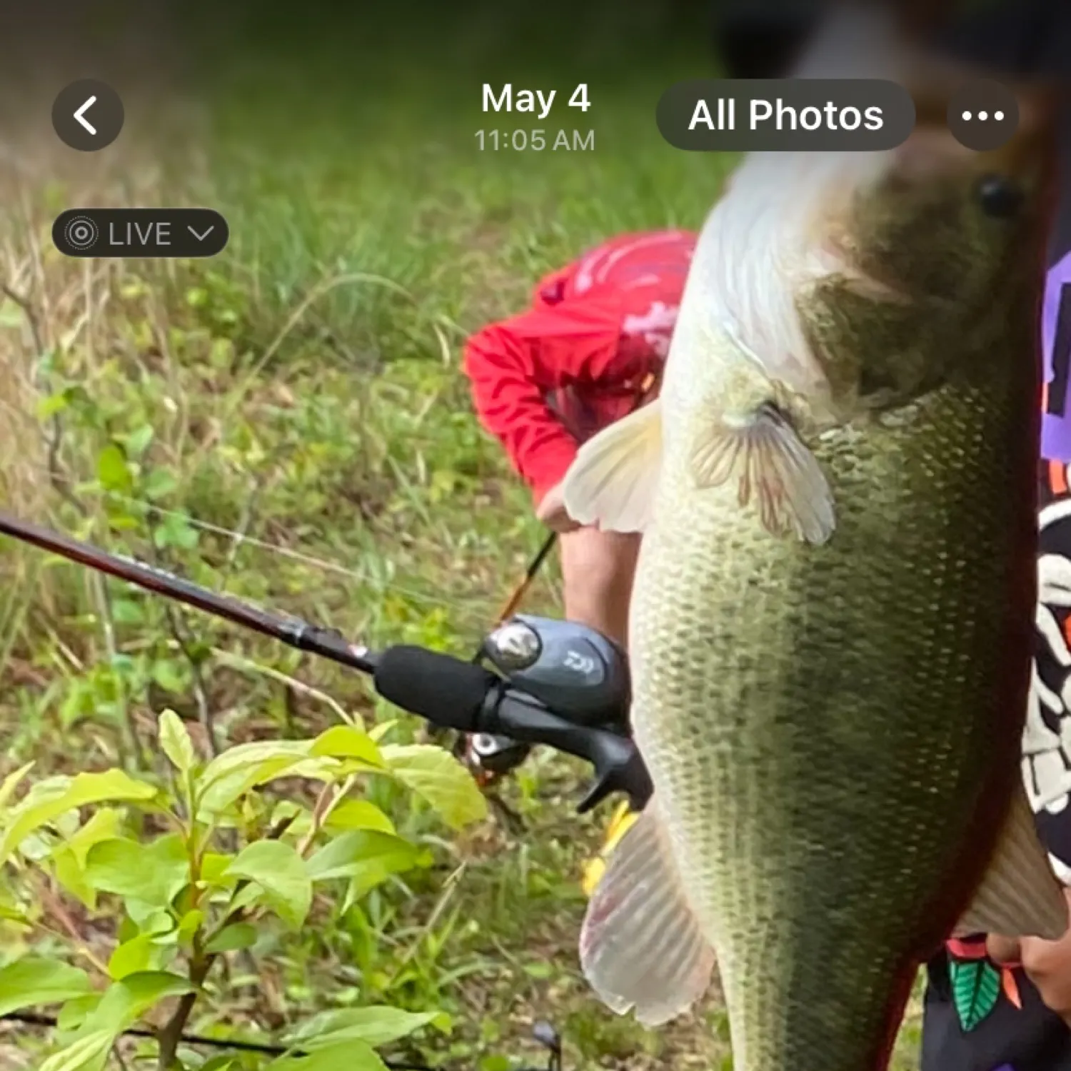 recently logged catches