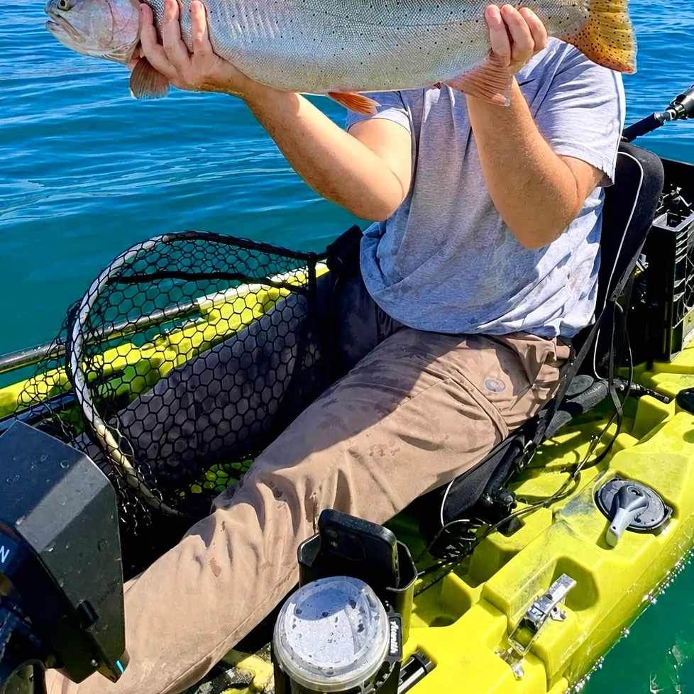Lahontan cutthroat trout caught on Fishbrain