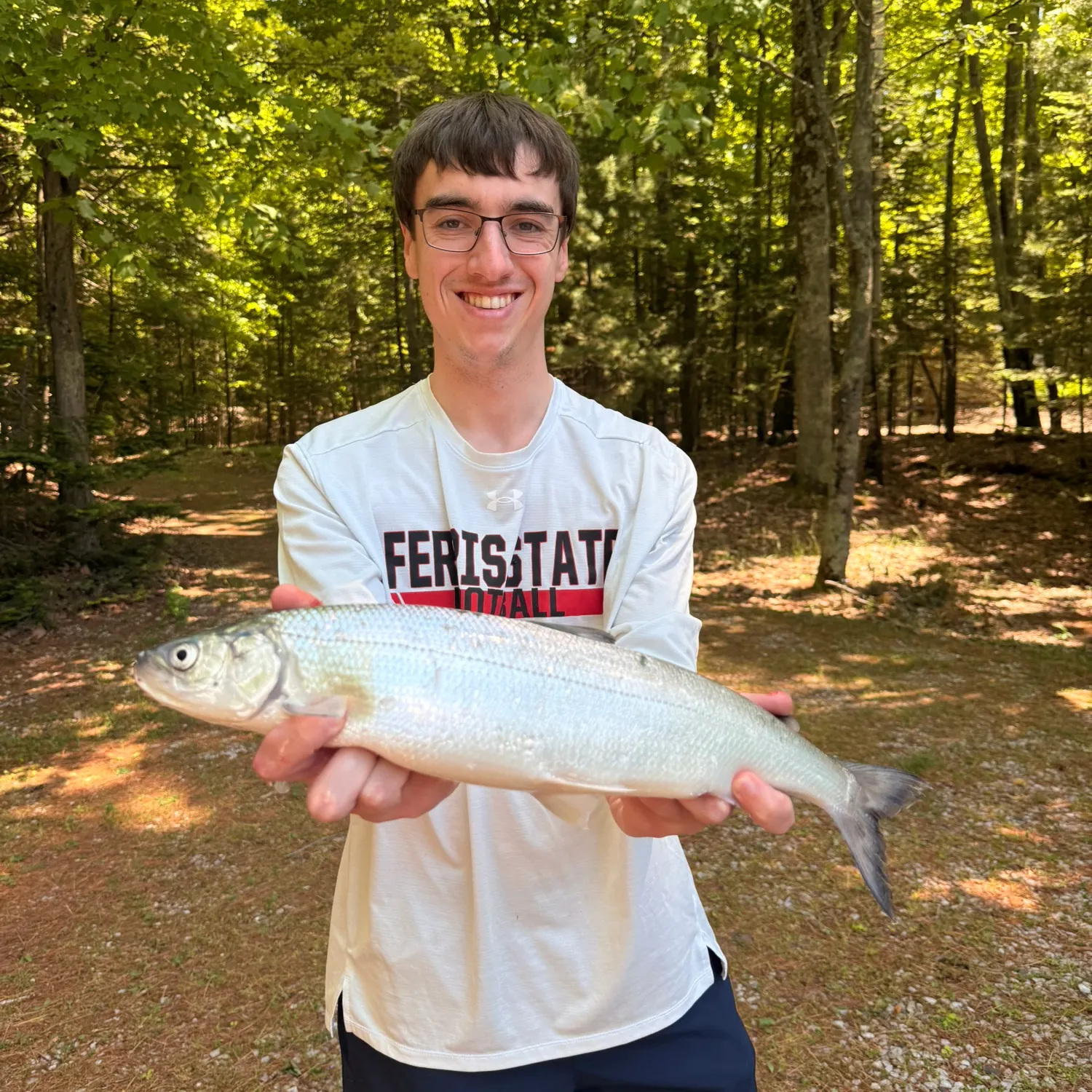 The most recent Northern cisco catches on Fishbrain