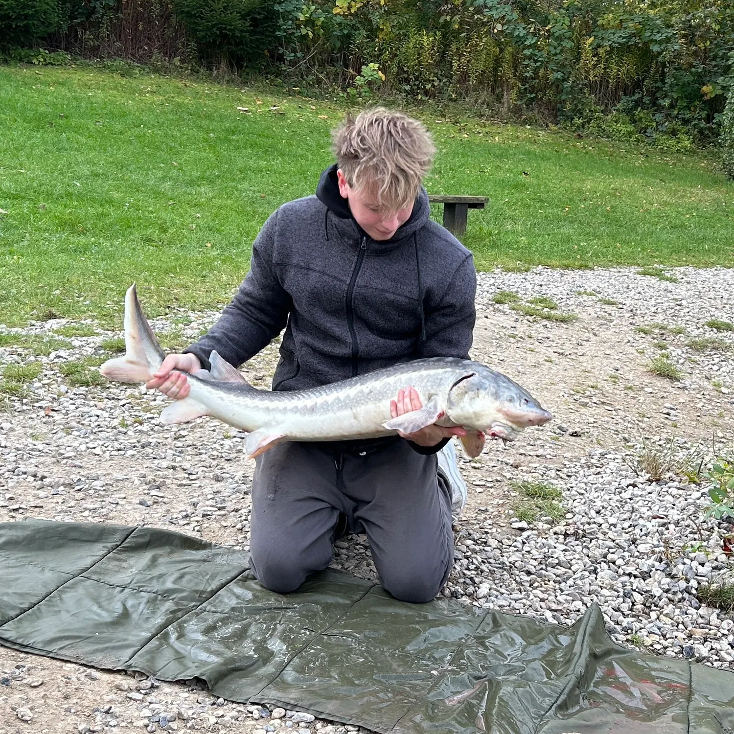 The most recent Russian sturgeon catches on Fishbrain