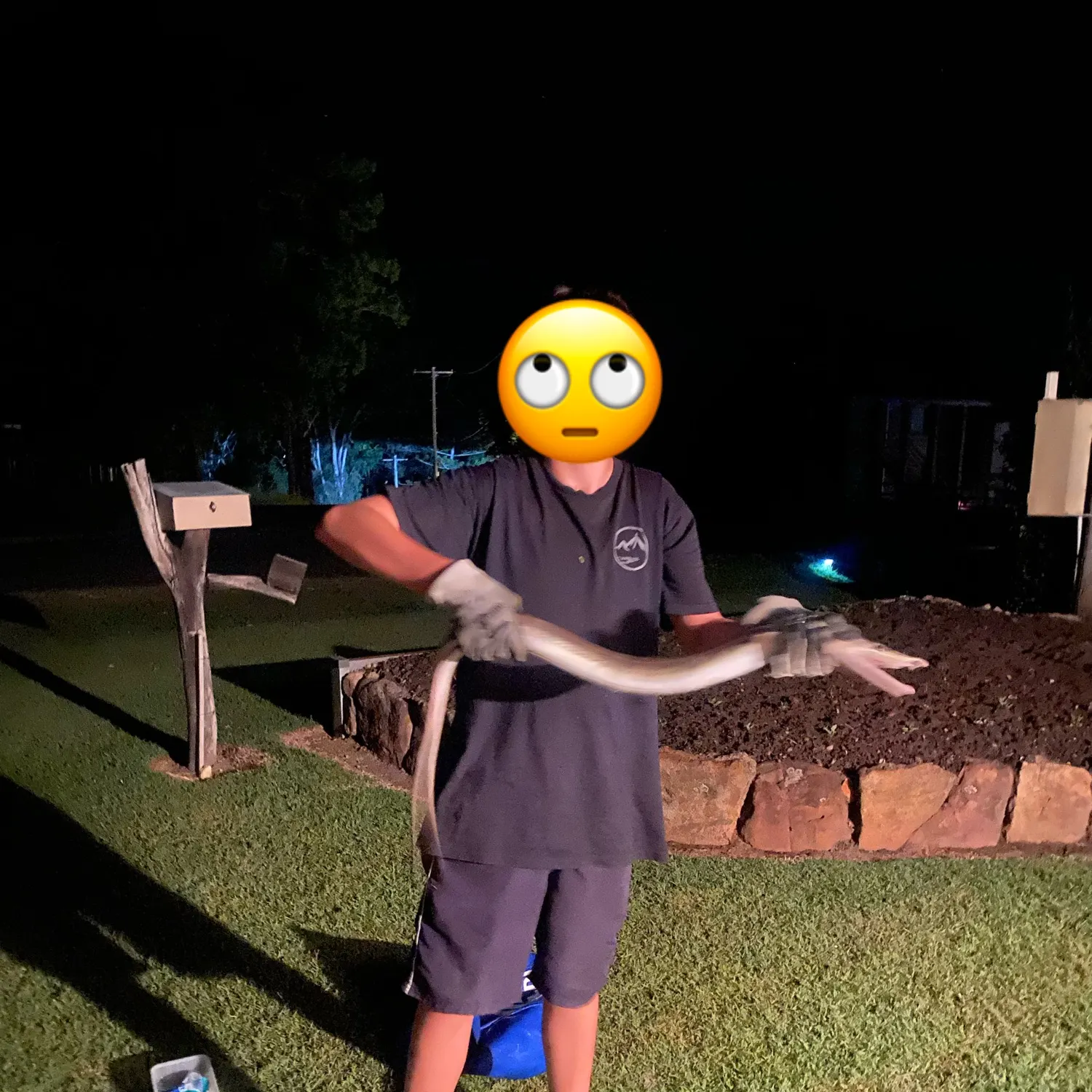 The most recent Common pike conger catches on Fishbrain