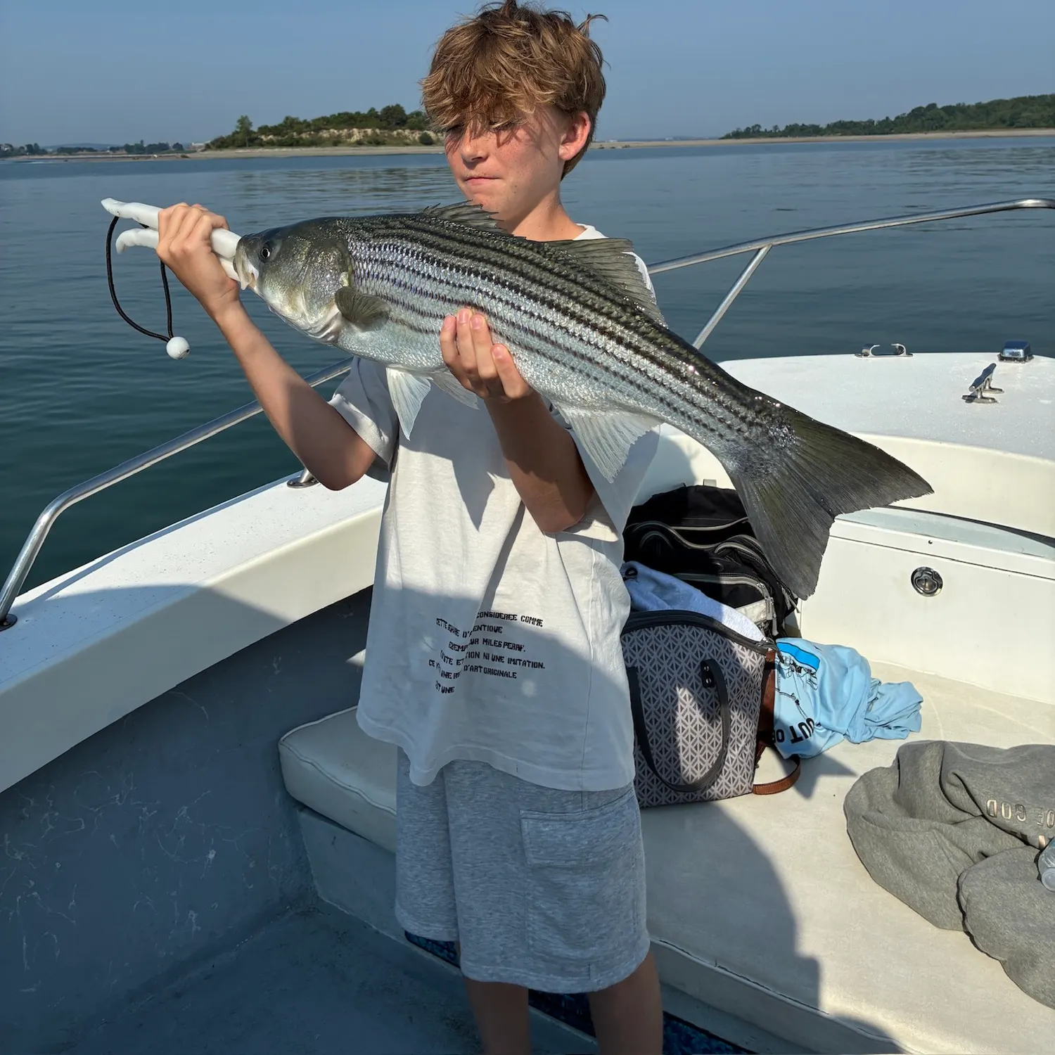 Striped bass caught on Fishbrain