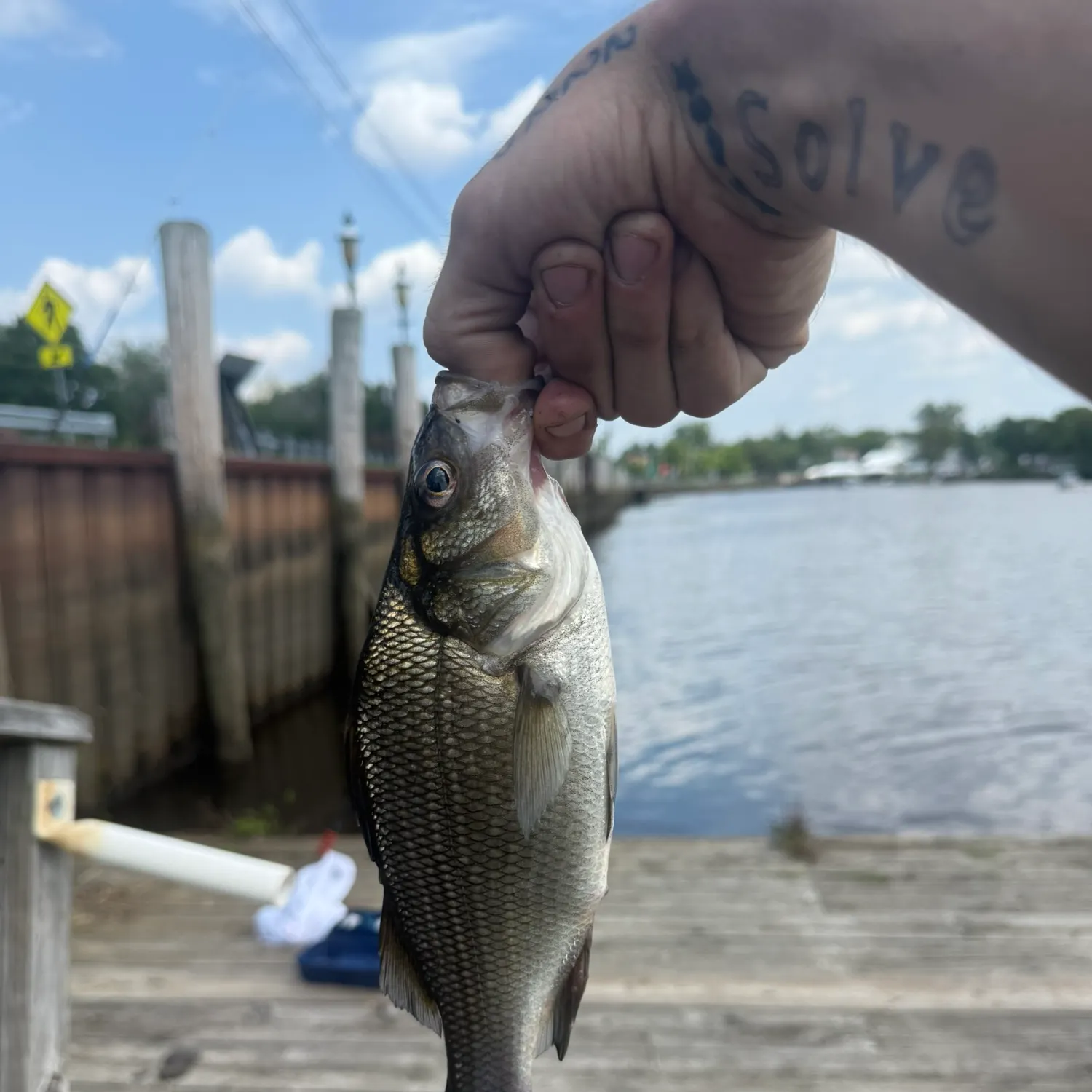 catch