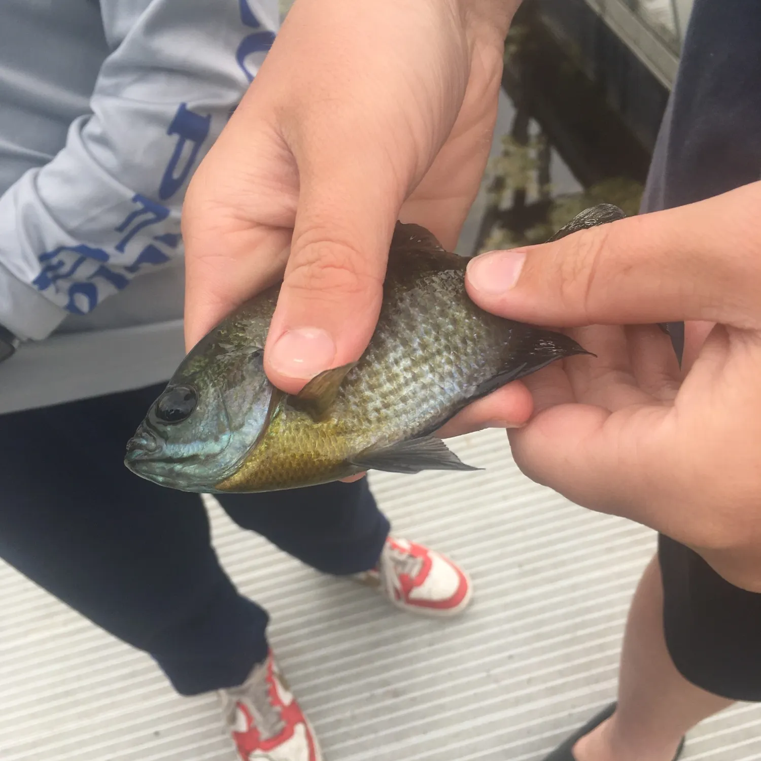 catch