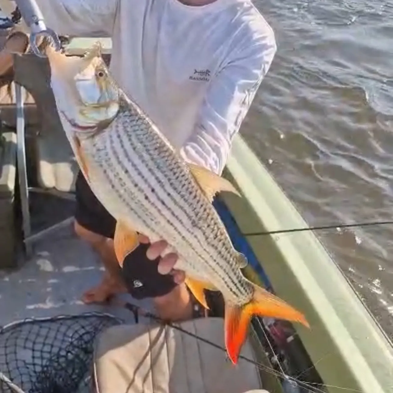 The most recent African tigerfish catches on Fishbrain