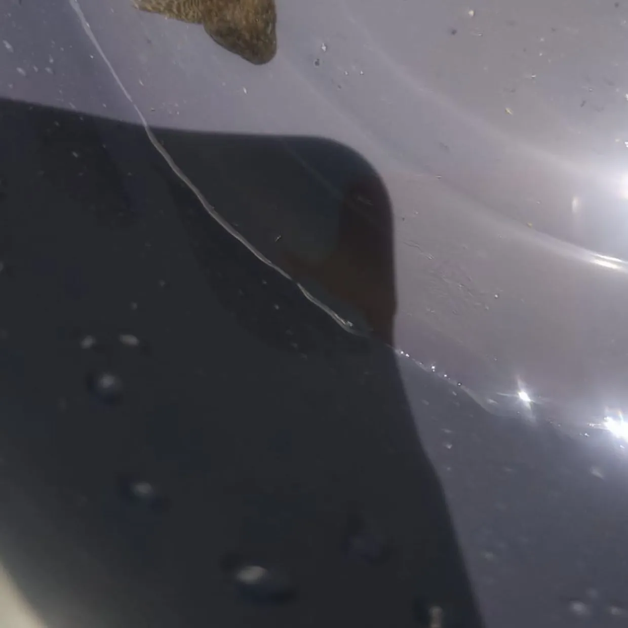 The most recent European bullhead catches on Fishbrain