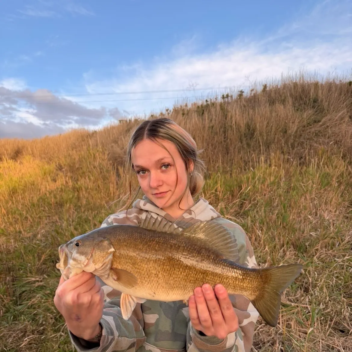 Smallmouth bass caught on Fishbrain