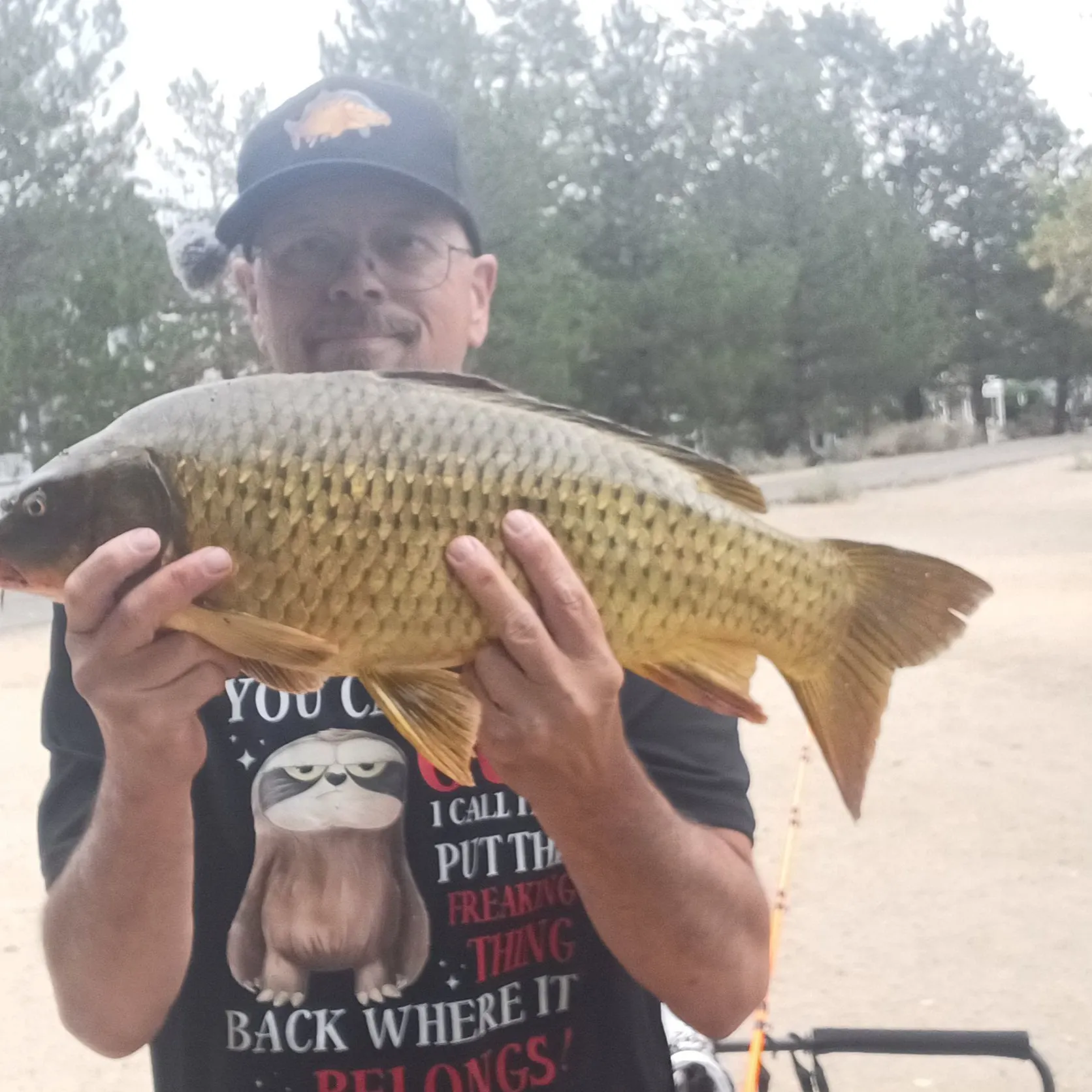 Common carp caught on Fishbrain