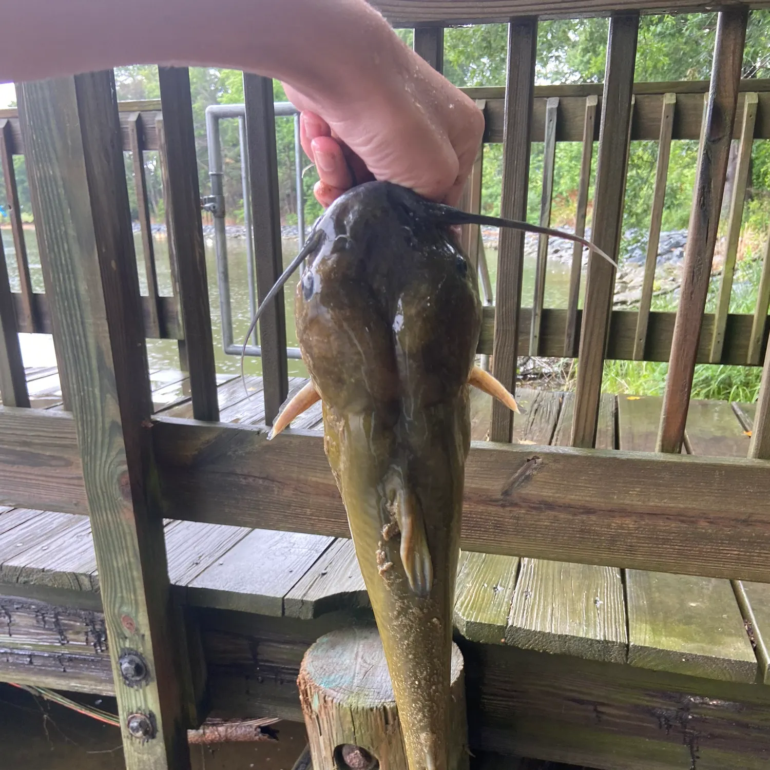 catch