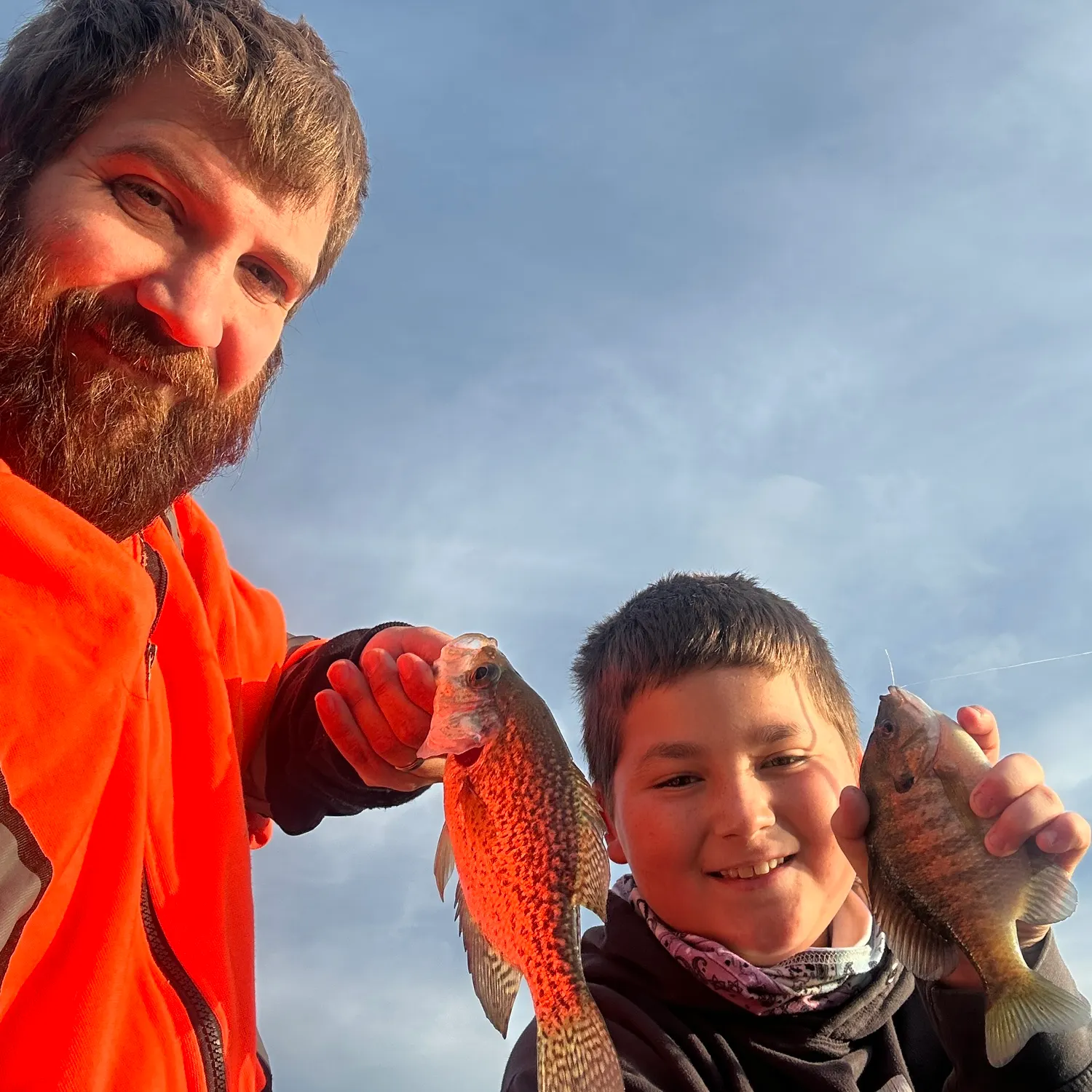 Black crappie caught on Fishbrain
