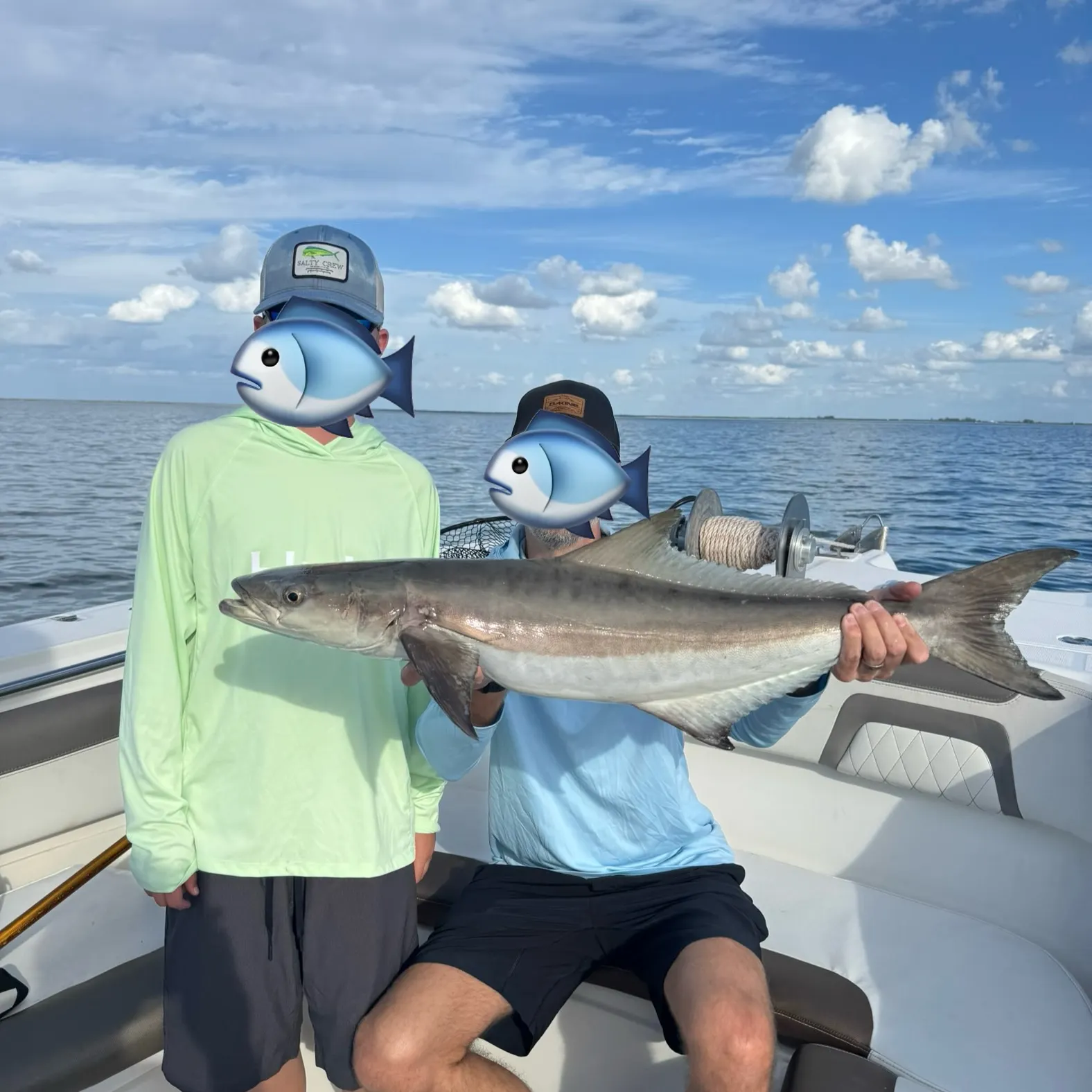 The most recent Cobia catches on Fishbrain