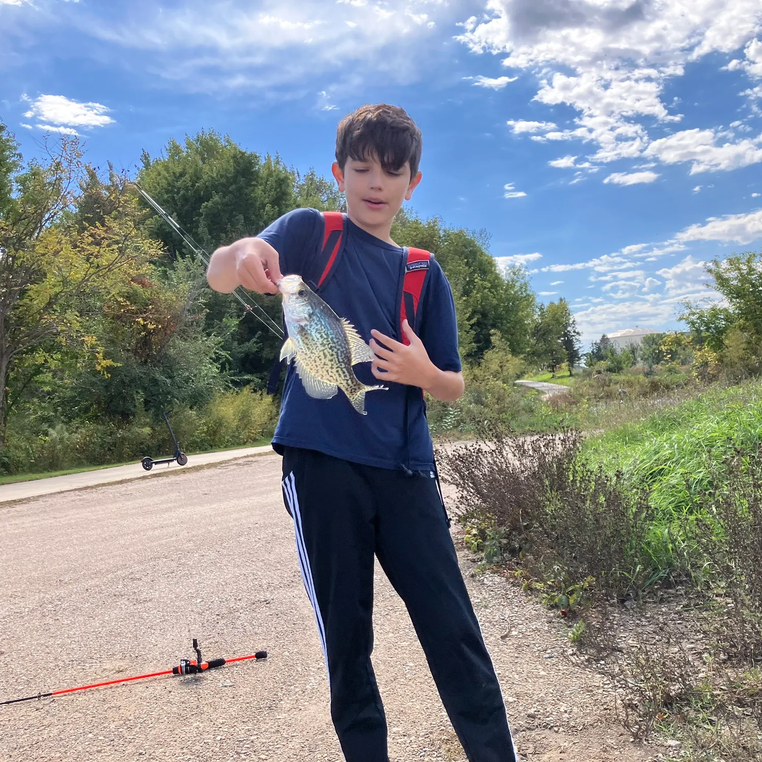 Black crappie caught on Fishbrain