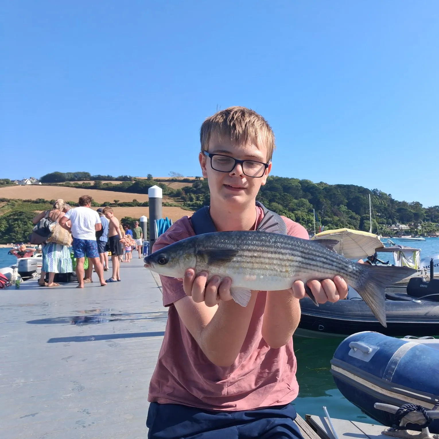 The most recent Thicklip grey mullet catches on Fishbrain