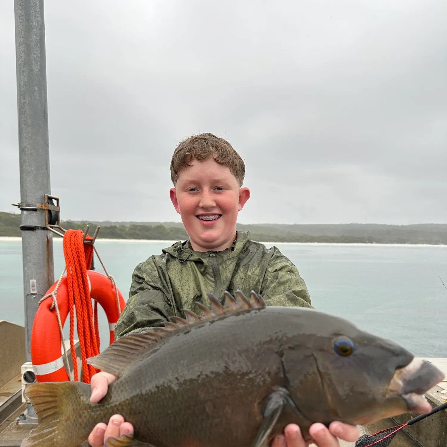 The most recent Eastern blue groper catches on Fishbrain