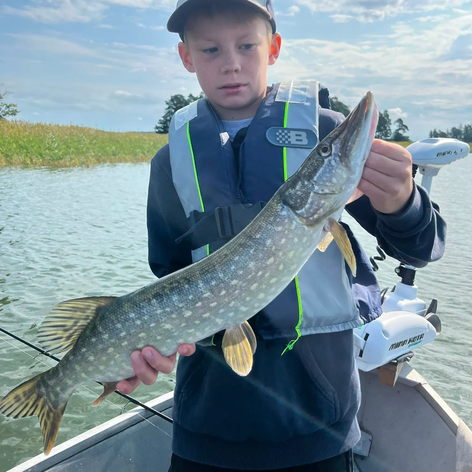 Northern pike caught on Fishbrain