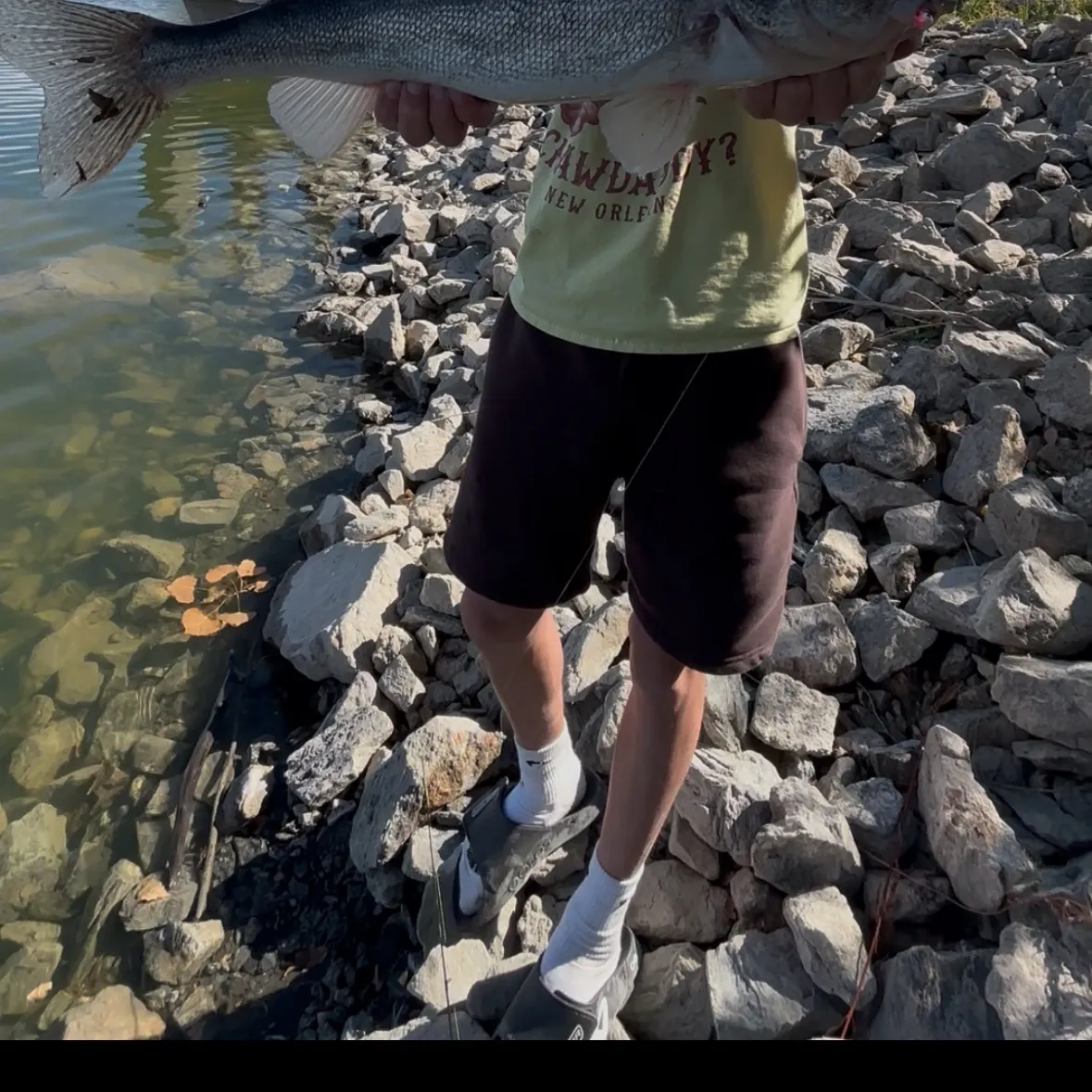 Walleye caught on Fishbrain
