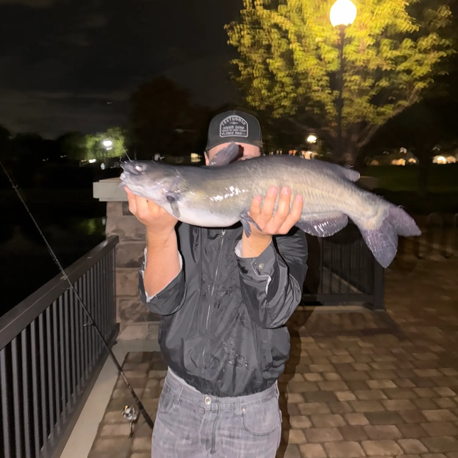 Channel catfish caught on Fishbrain