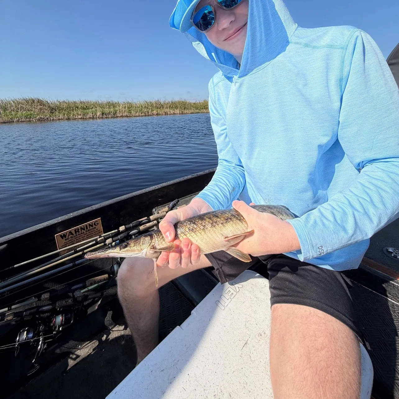 The most recent Florida gar catches on Fishbrain