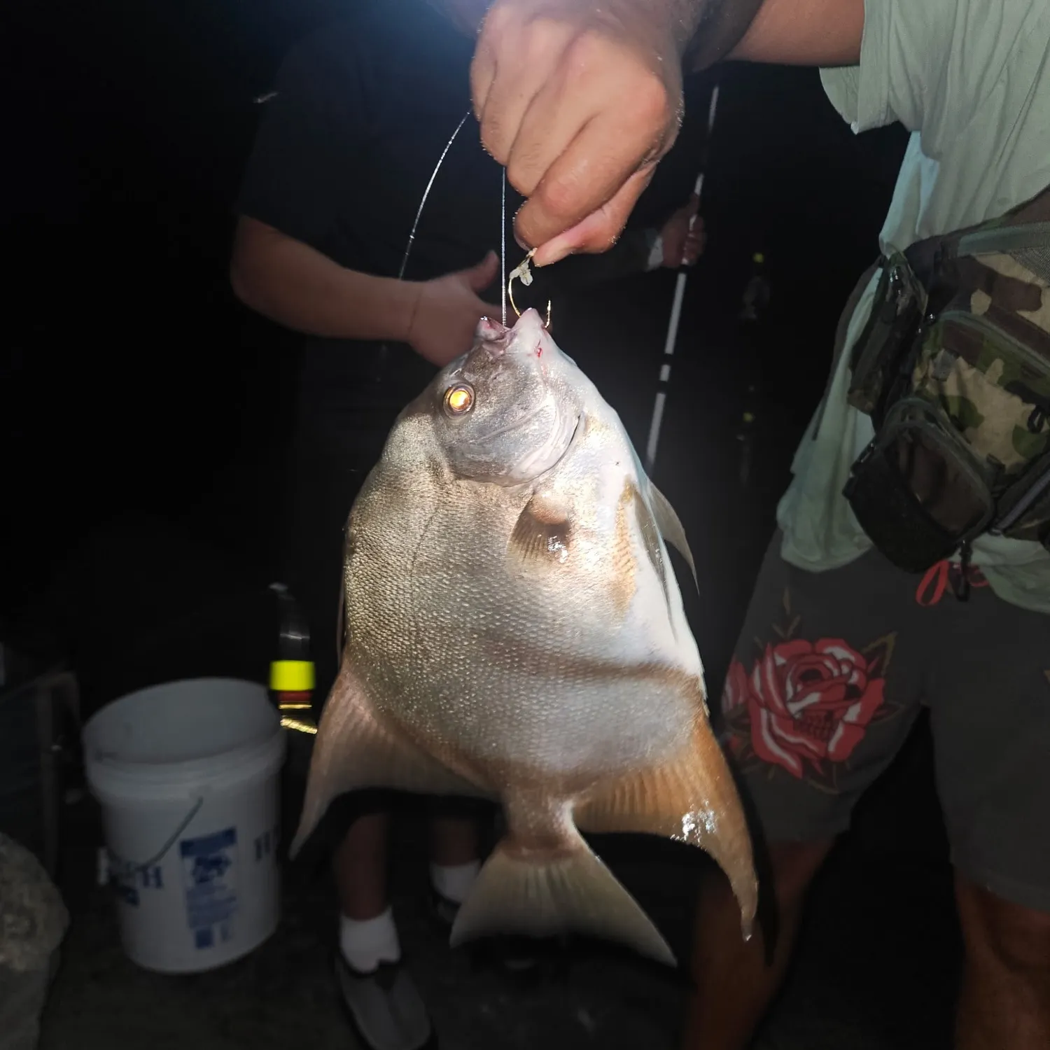 Atlantic spadefish caught on Fishbrain