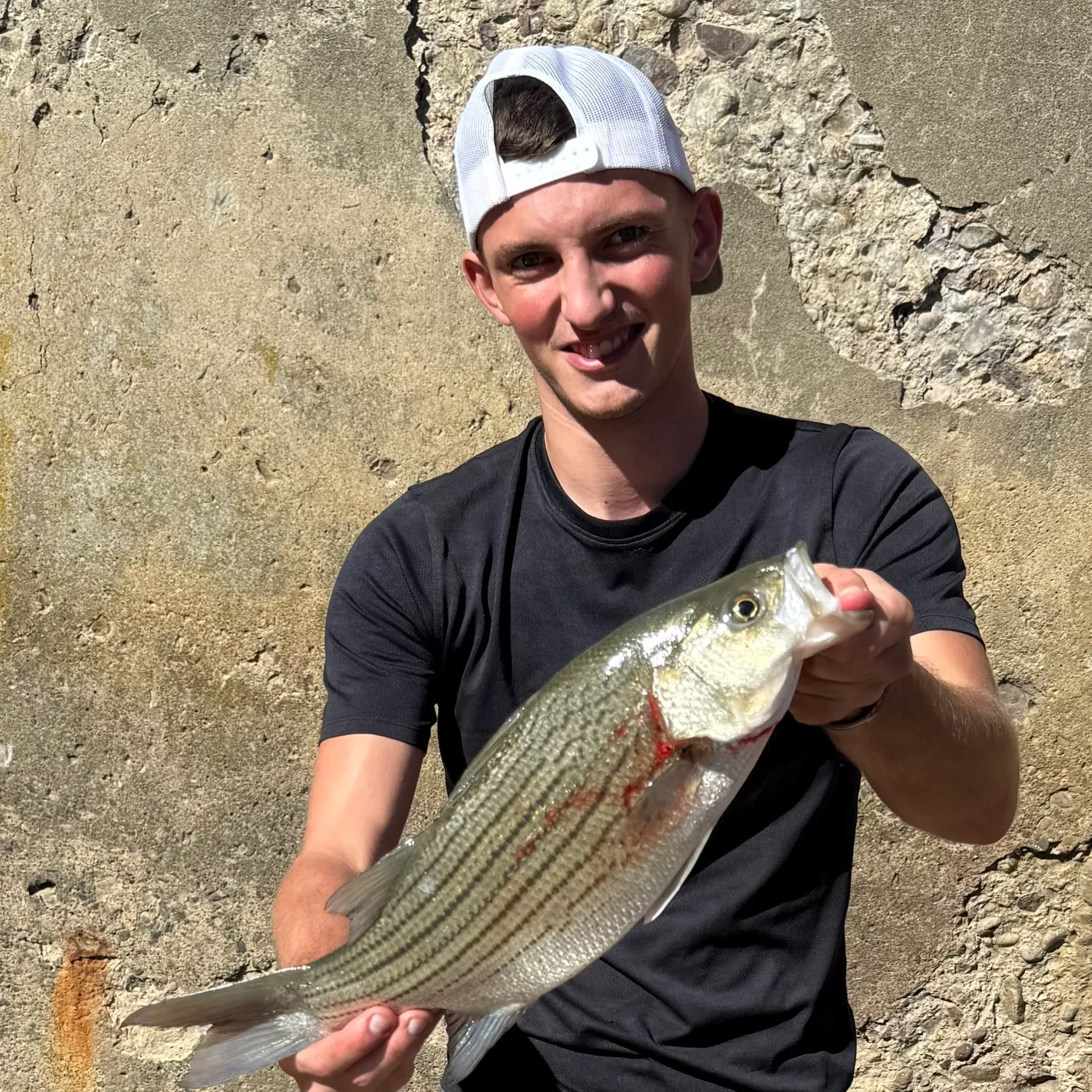 Wiper caught on Fishbrain