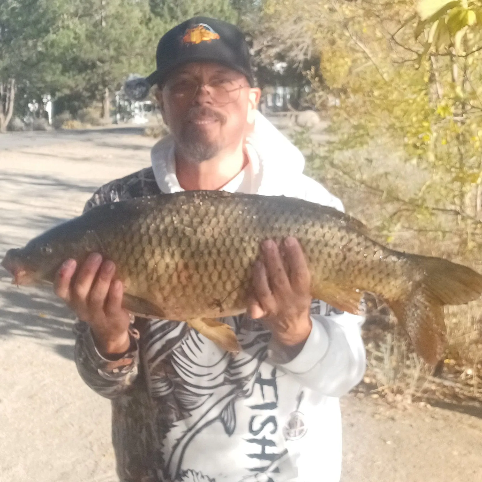 Common carp caught on Fishbrain
