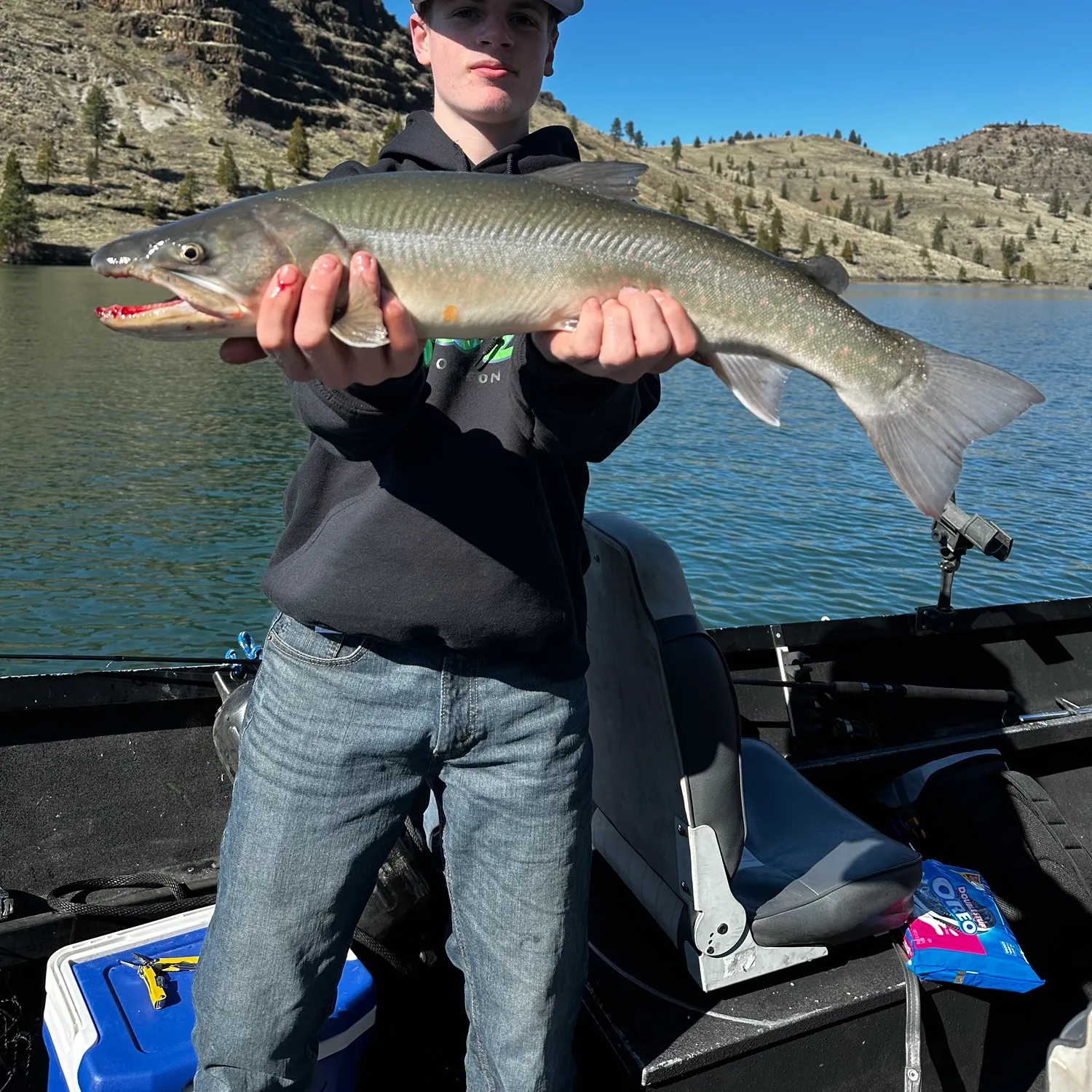 The most popular recent Bull trout catch on Fishbrain