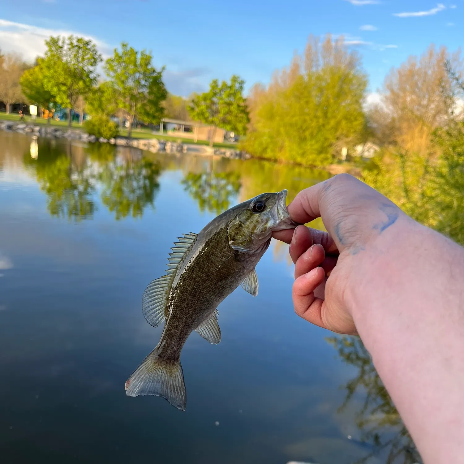 catch