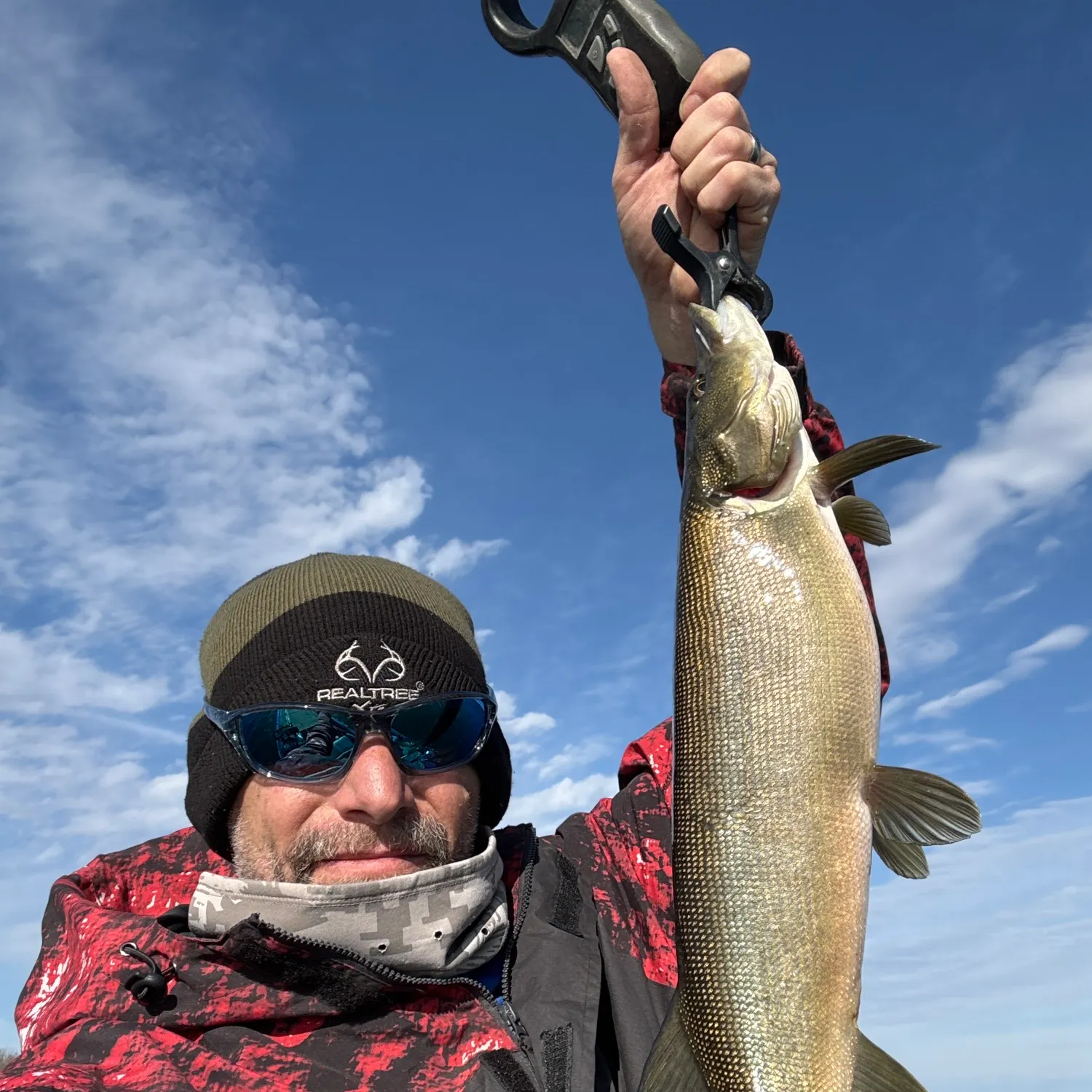 The most recent Muskellunge catches on Fishbrain