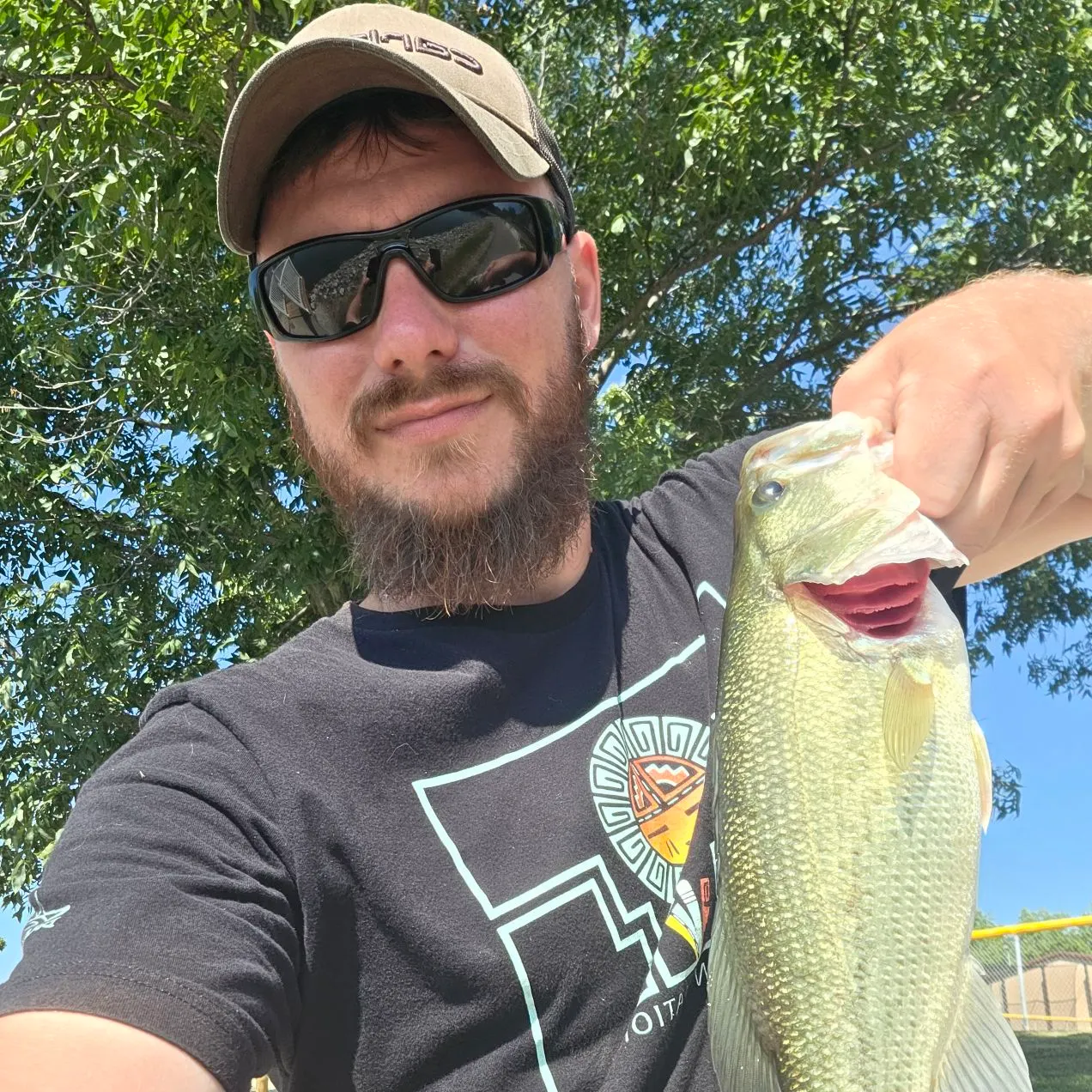 Largemouth bass caught on Fishbrain