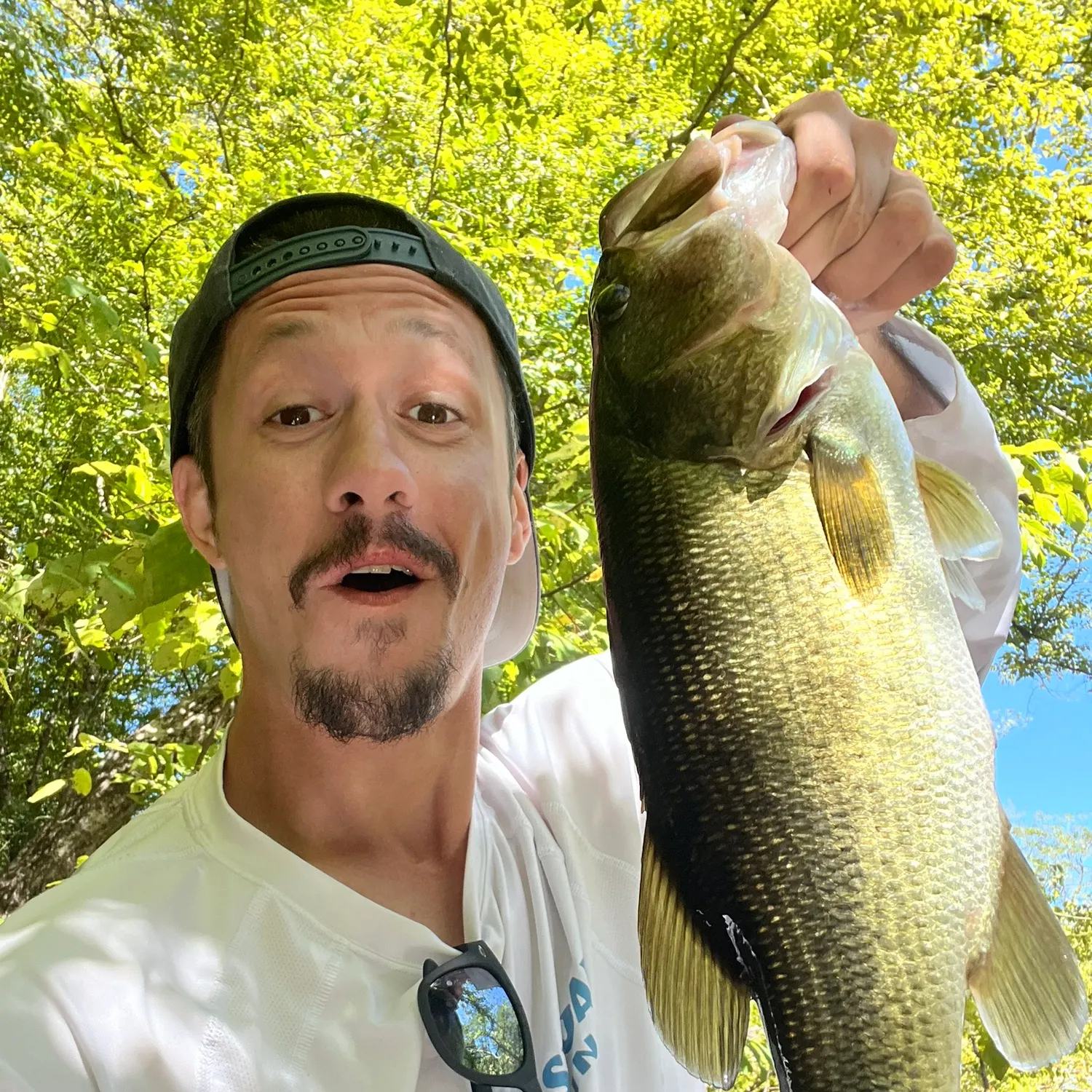 Largemouth bass caught on Fishbrain