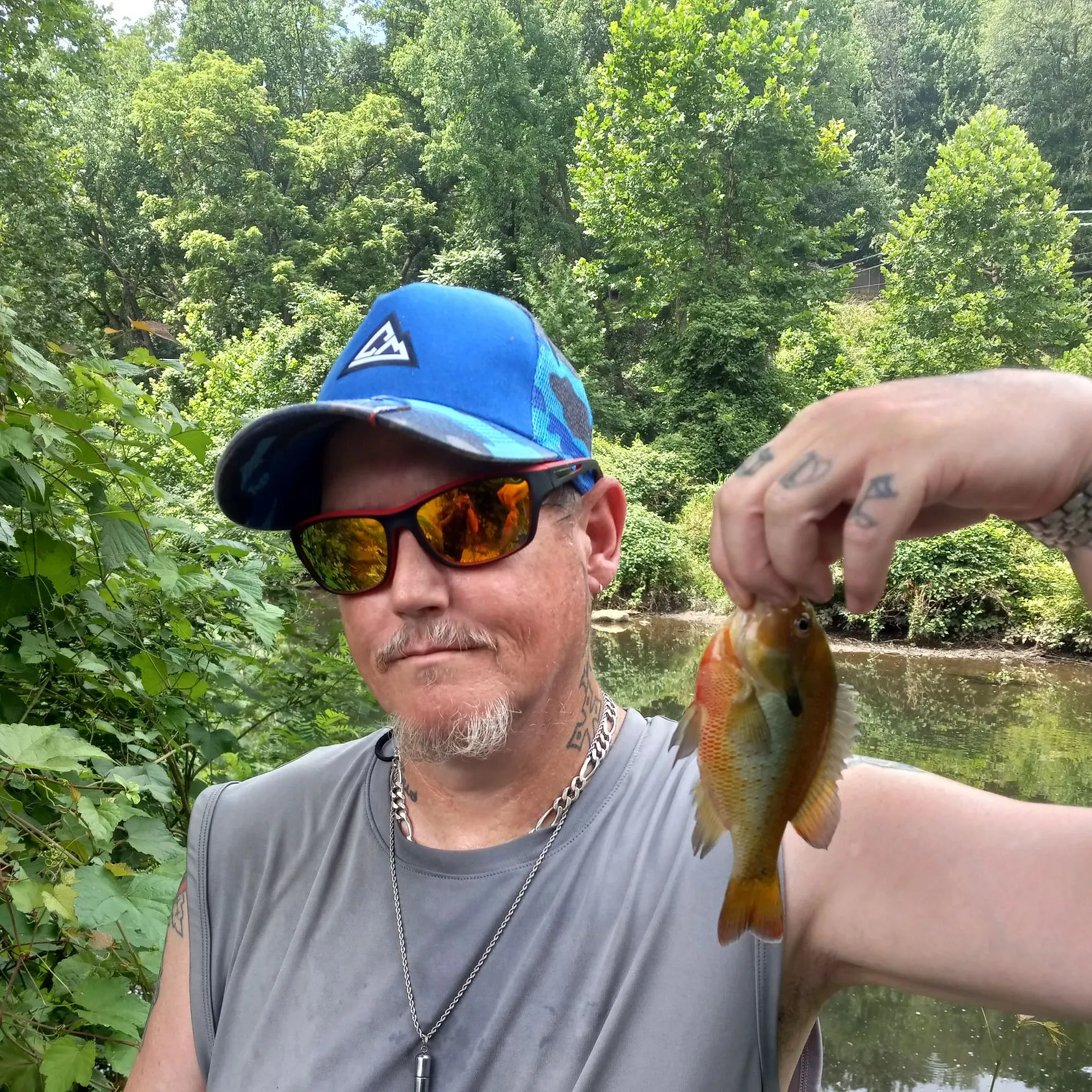 The most recent Orangespotted sunfish catches on Fishbrain