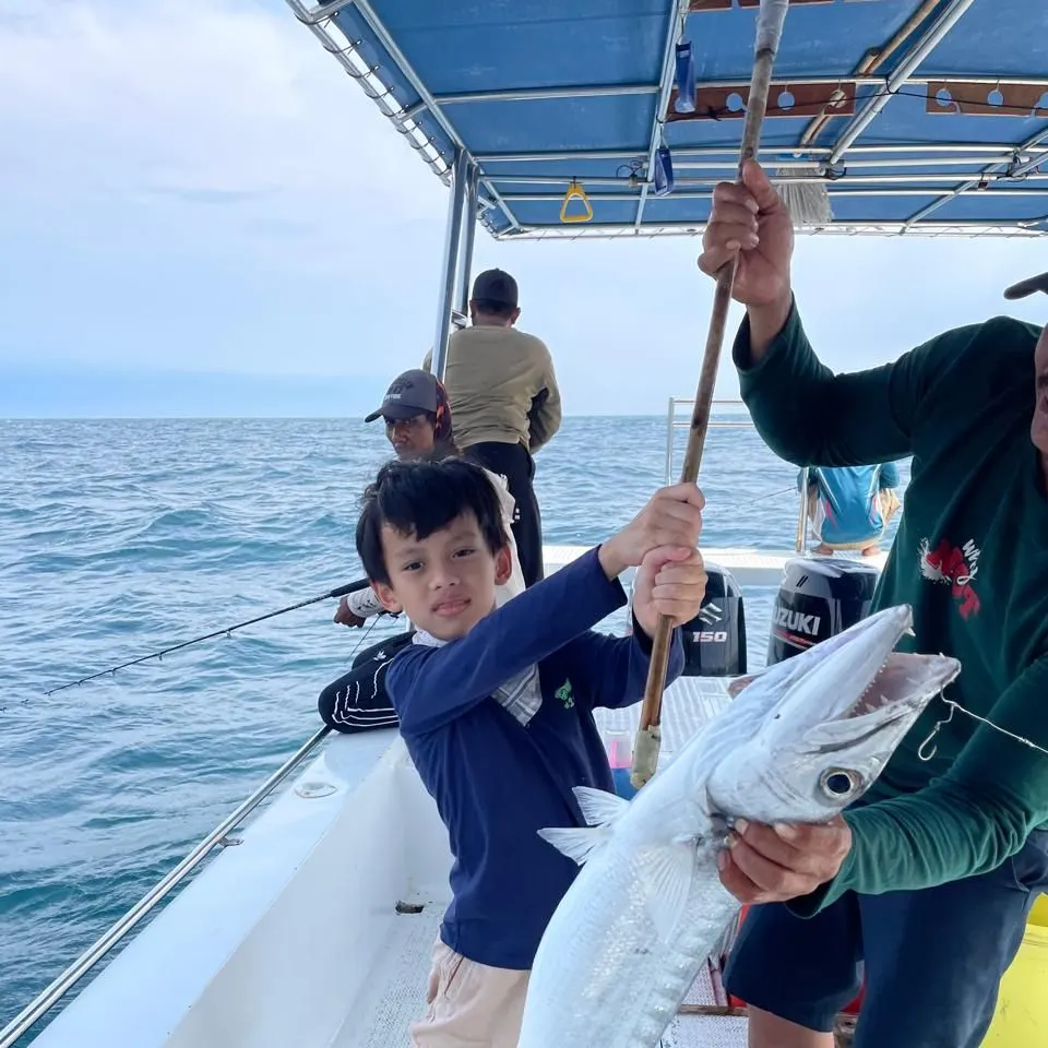 Great barracuda caught on Fishbrain