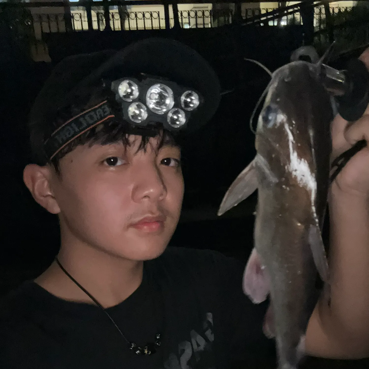 Asian redtail catfish caught on Fishbrain