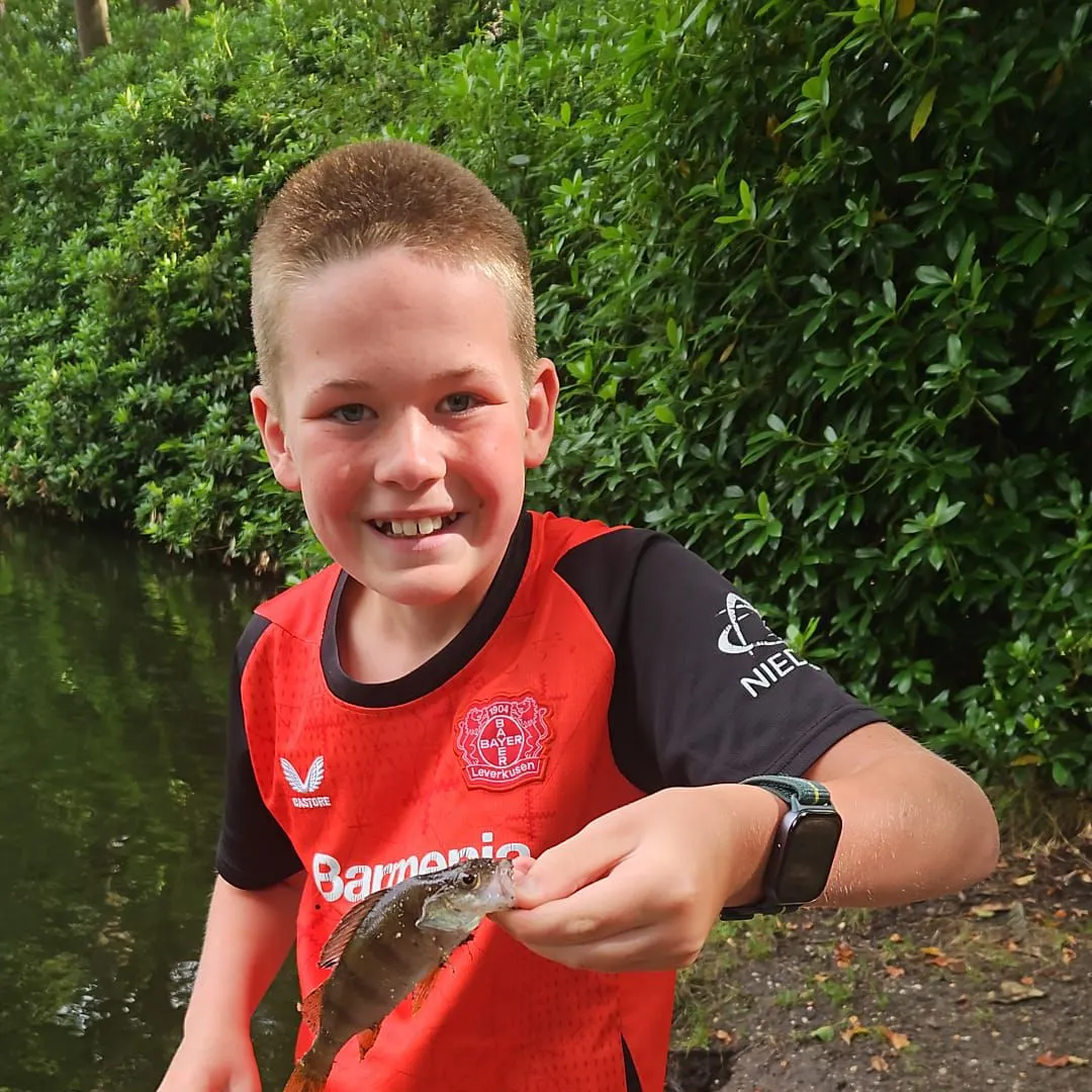 European perch caught on Fishbrain