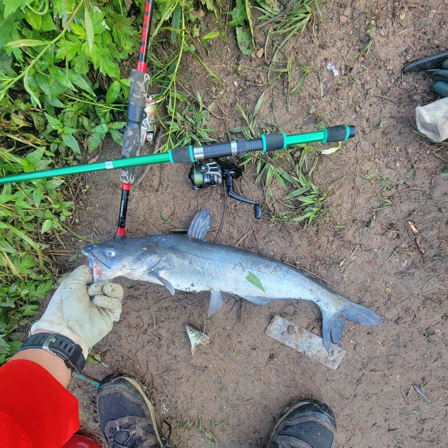 catch