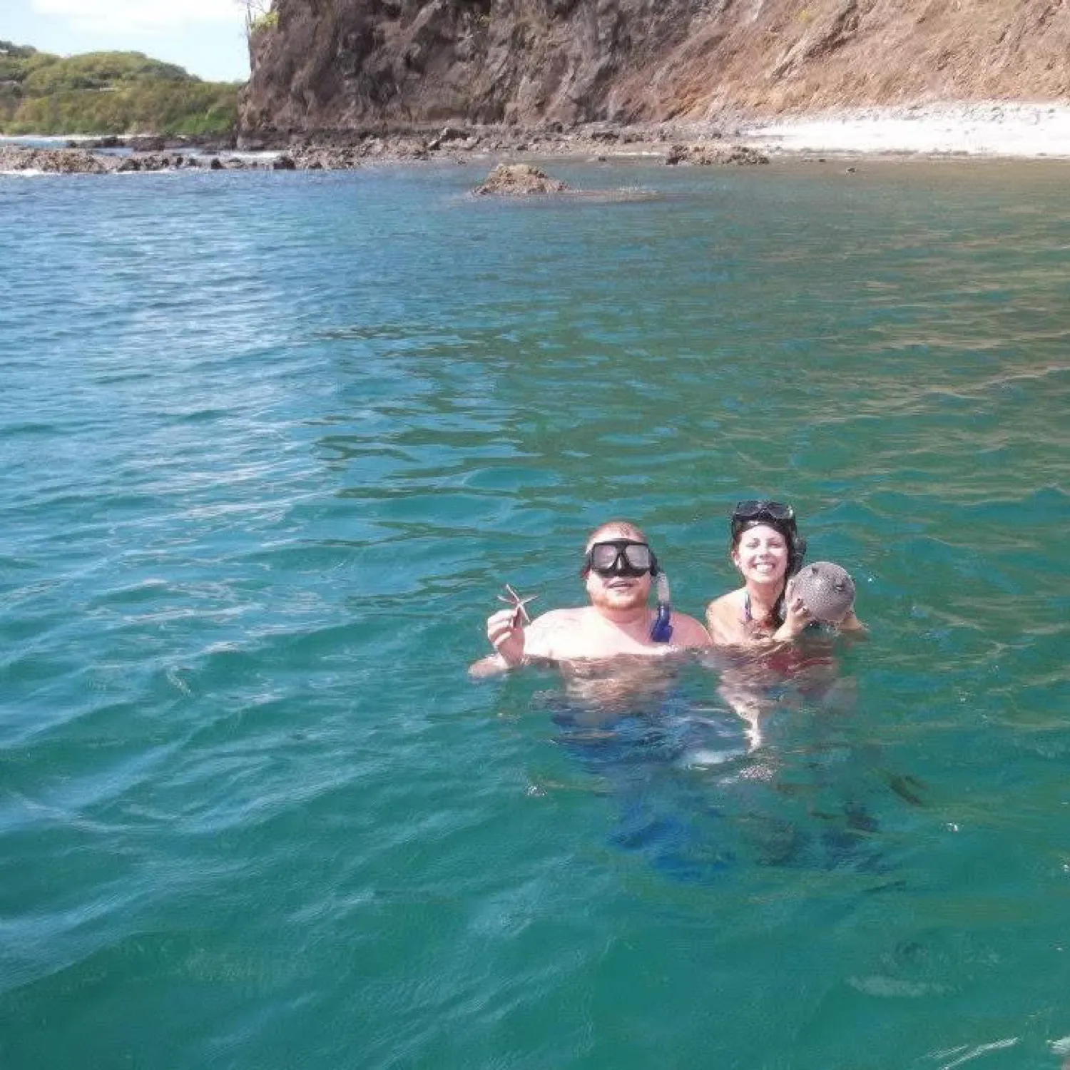 The most recent Guinean pufferfish catches on Fishbrain