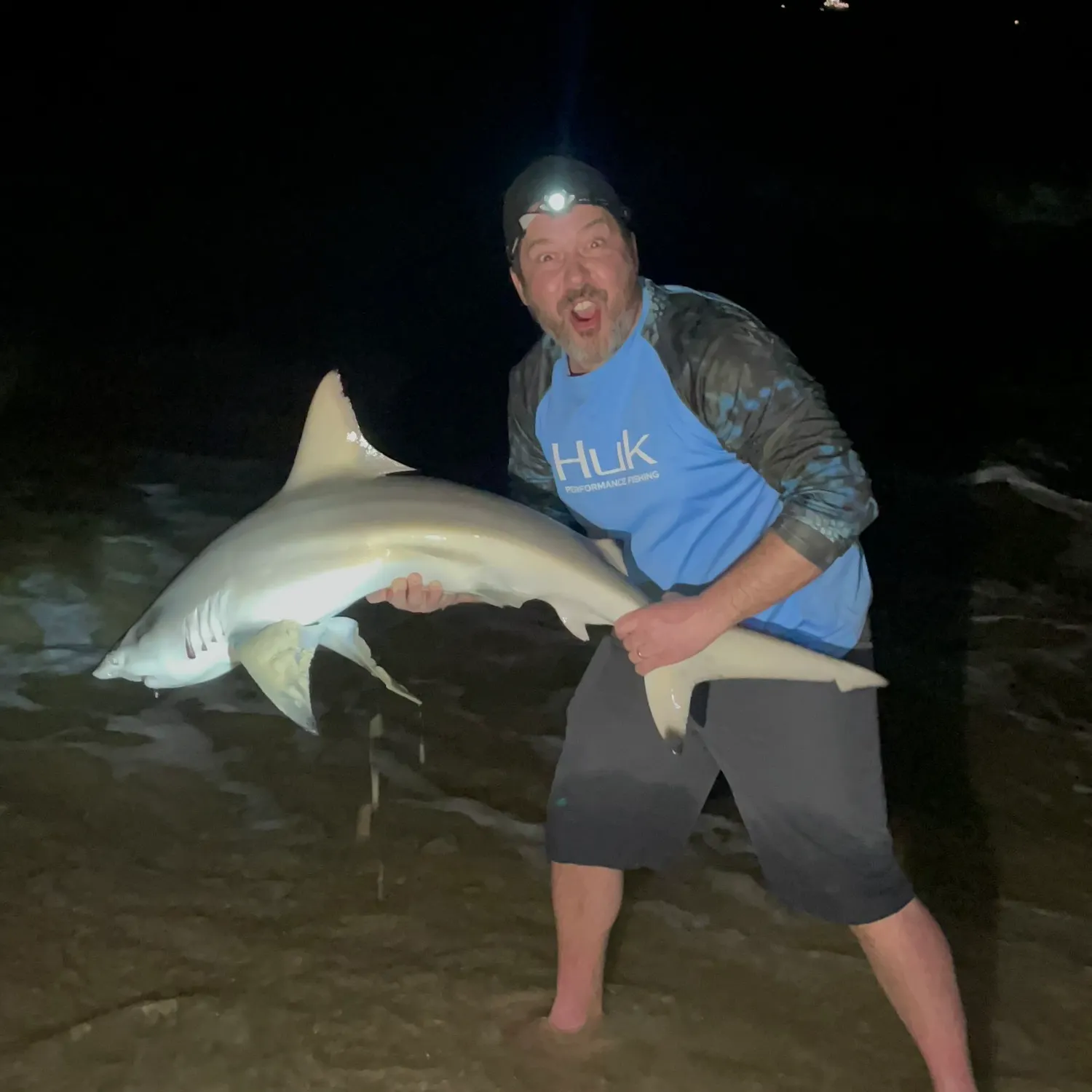The most recent Bull shark catches on Fishbrain