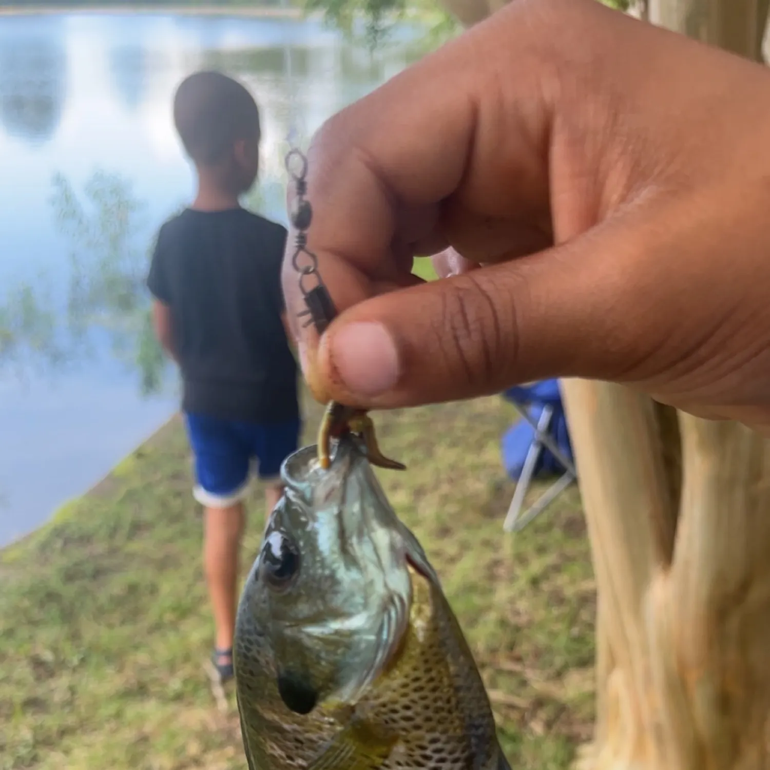 catch