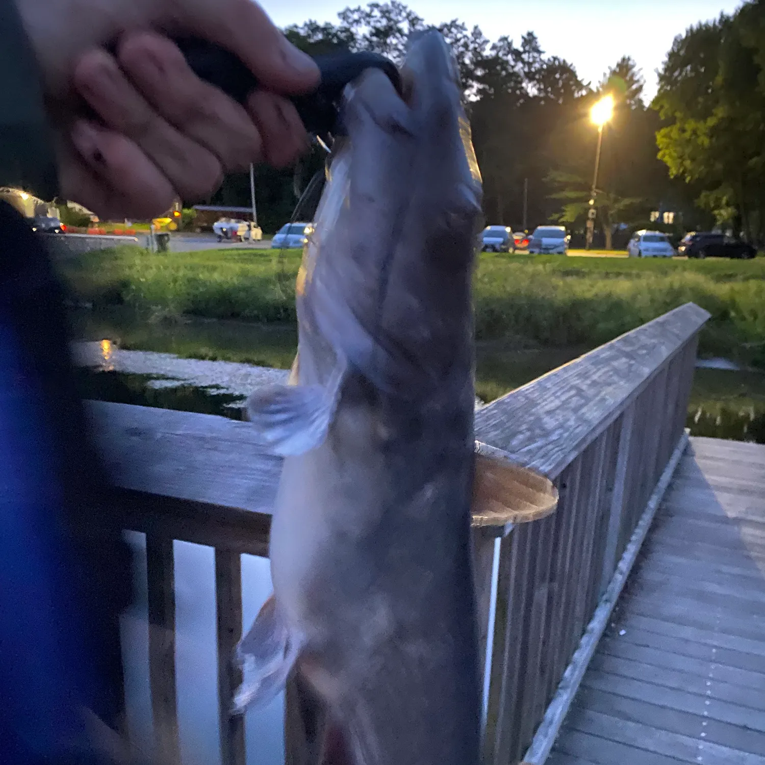 catch