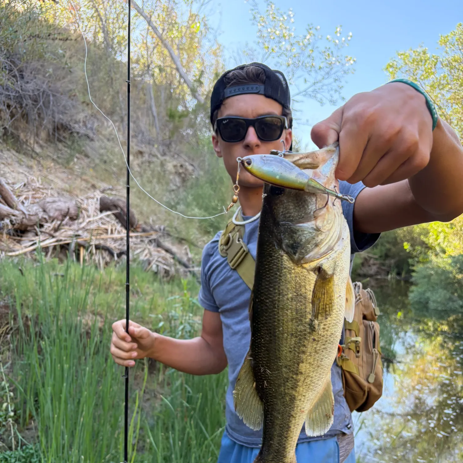 Largemouth bass caught on Fishbrain