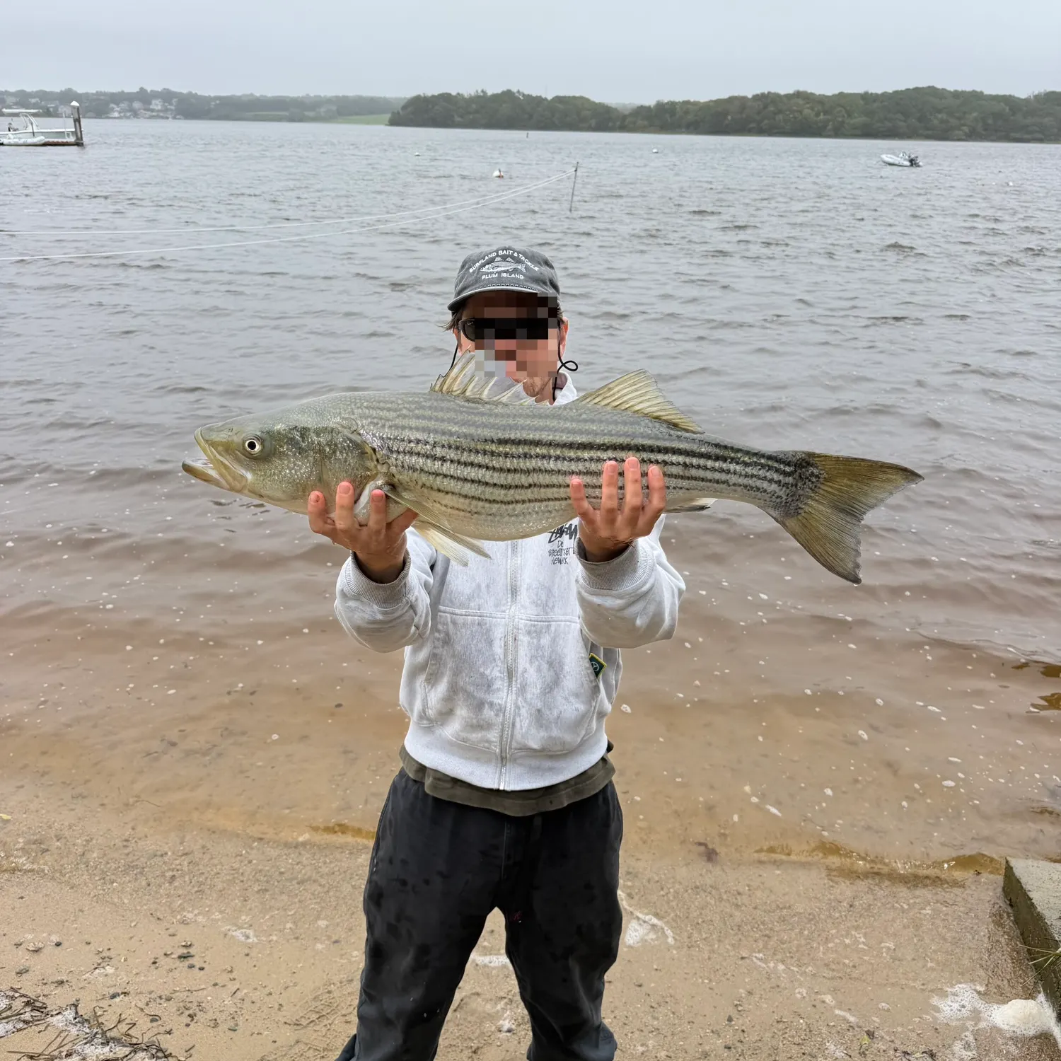 Striped bass caught on Fishbrain