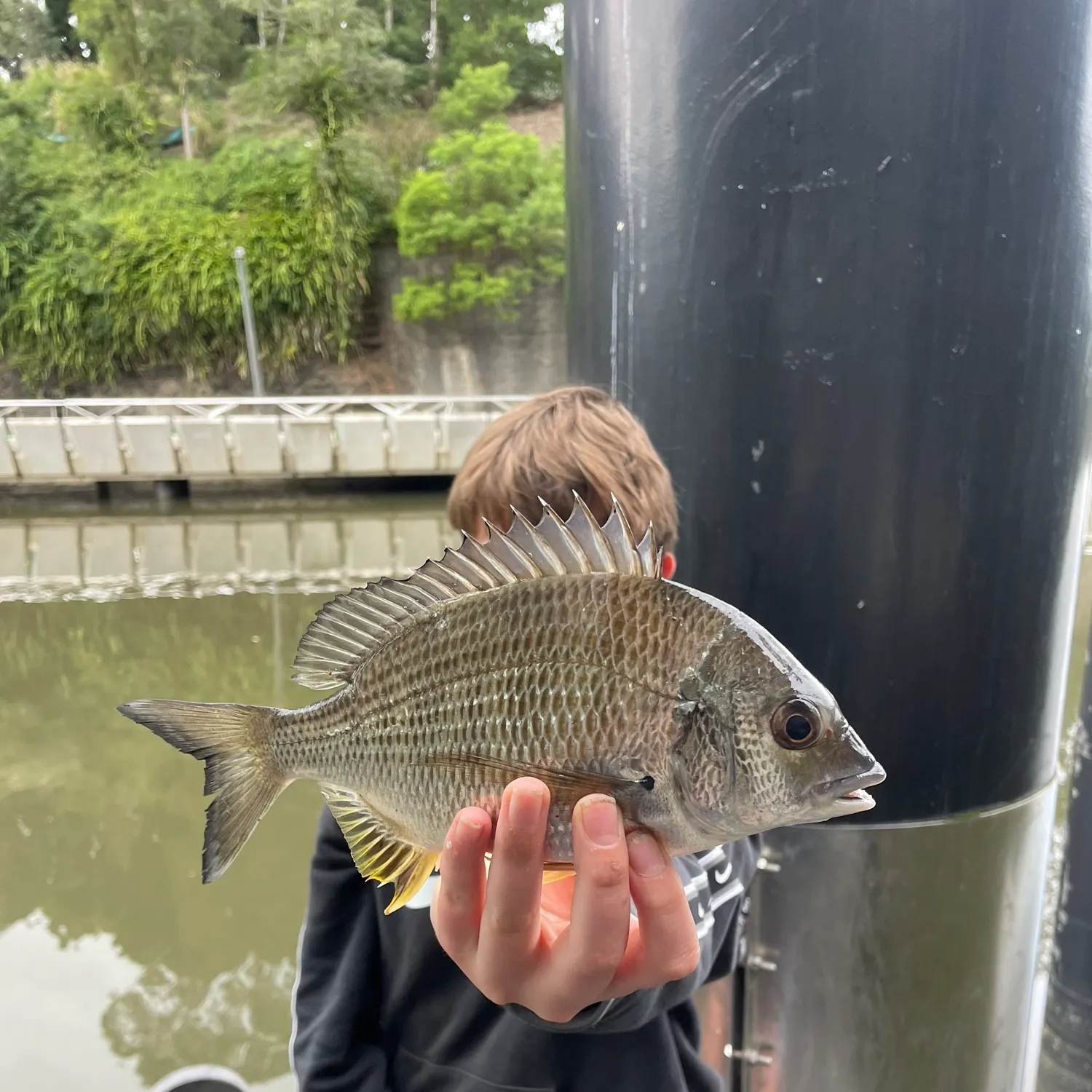 catch
