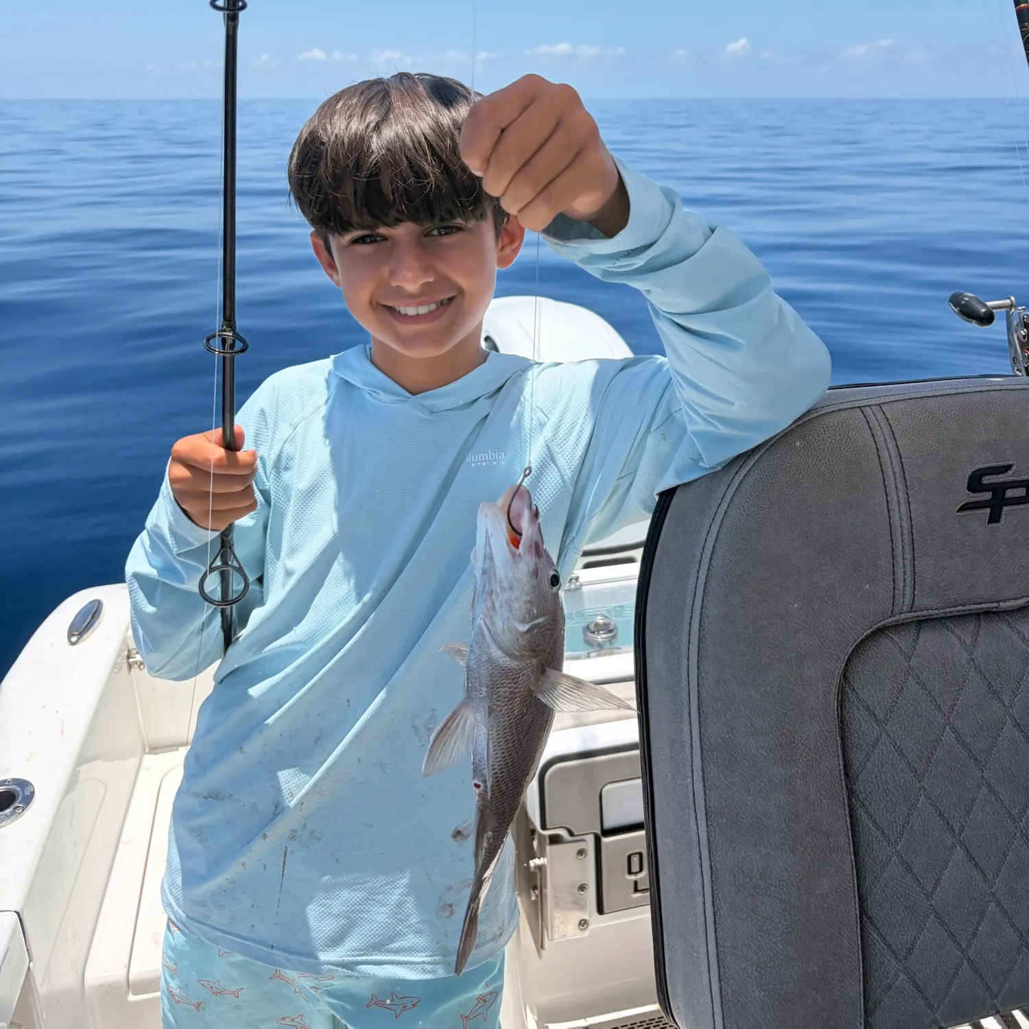 The most recent Grey grunt catches on Fishbrain