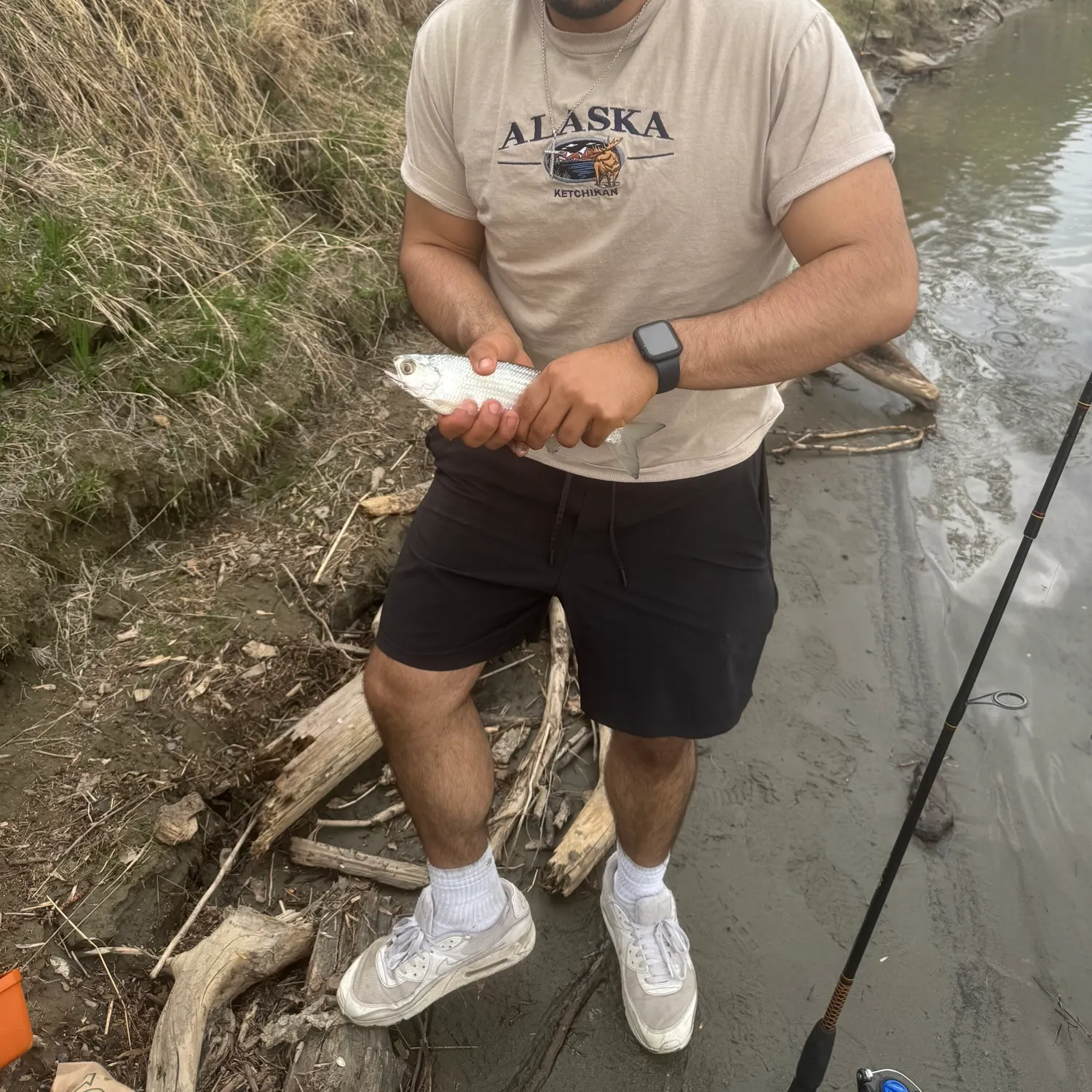 most liked catch image