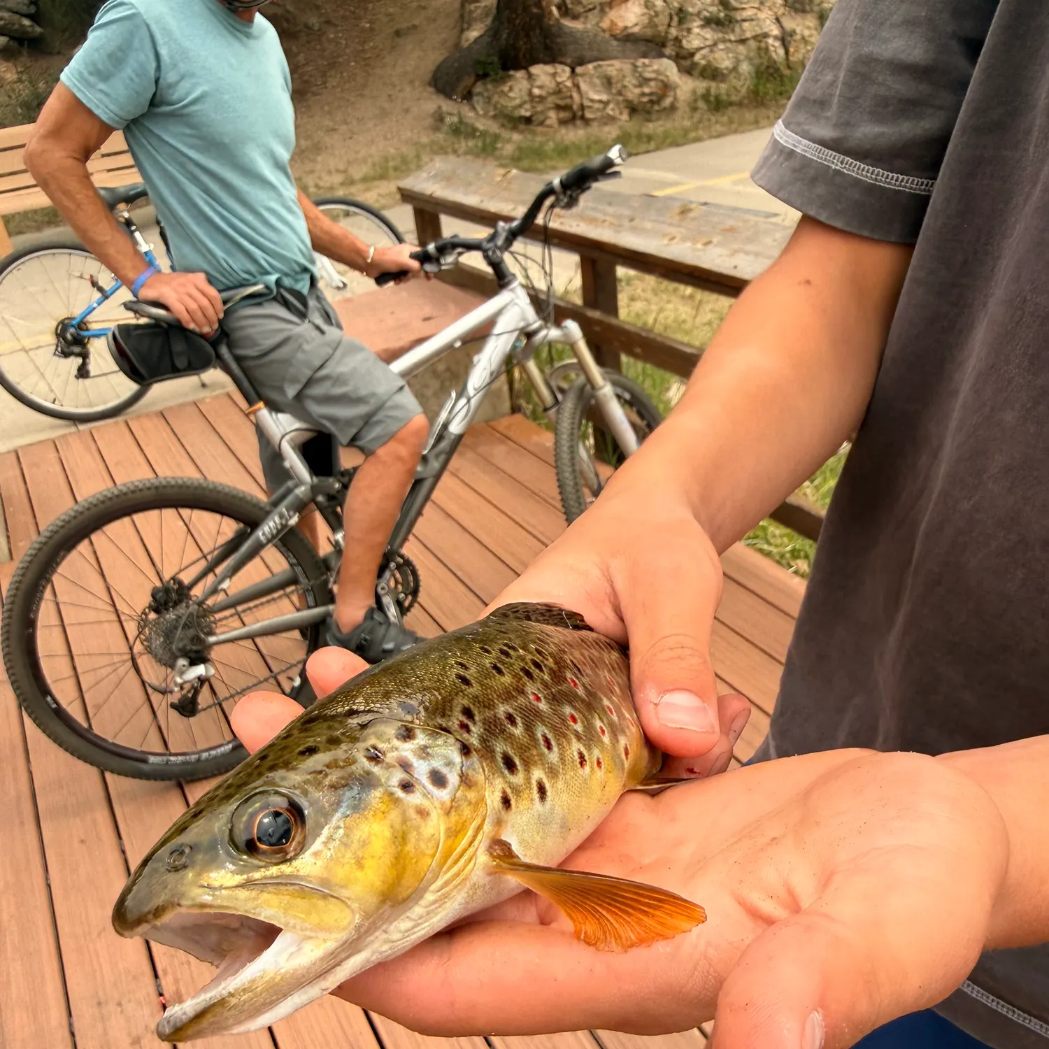 catch