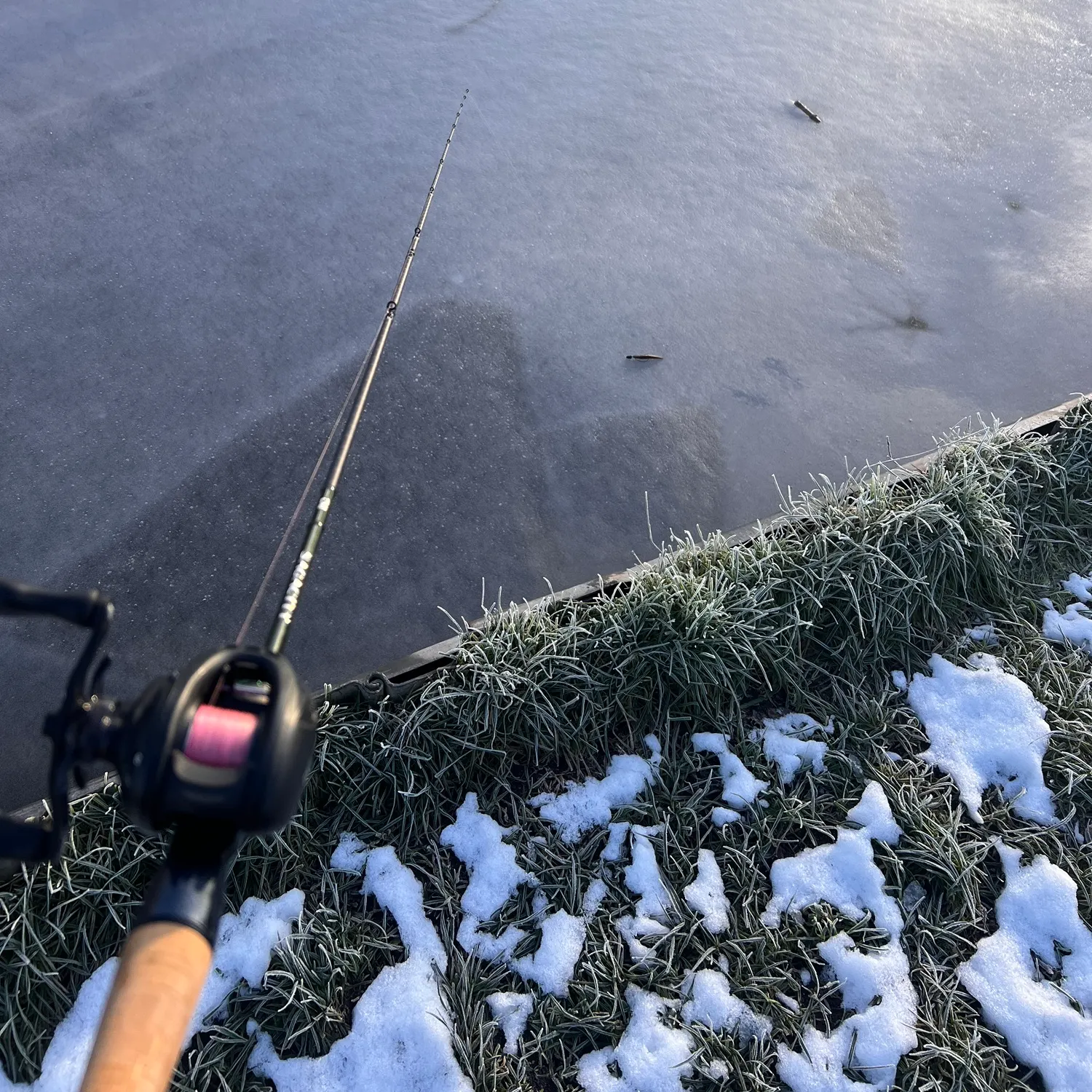 The most recent European perch catches on Fishbrain