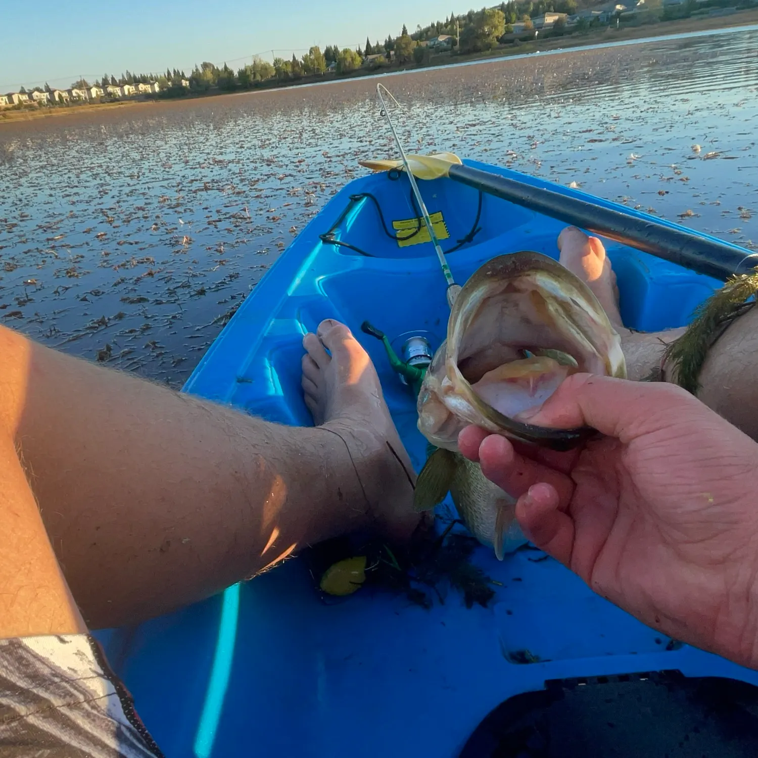 catch