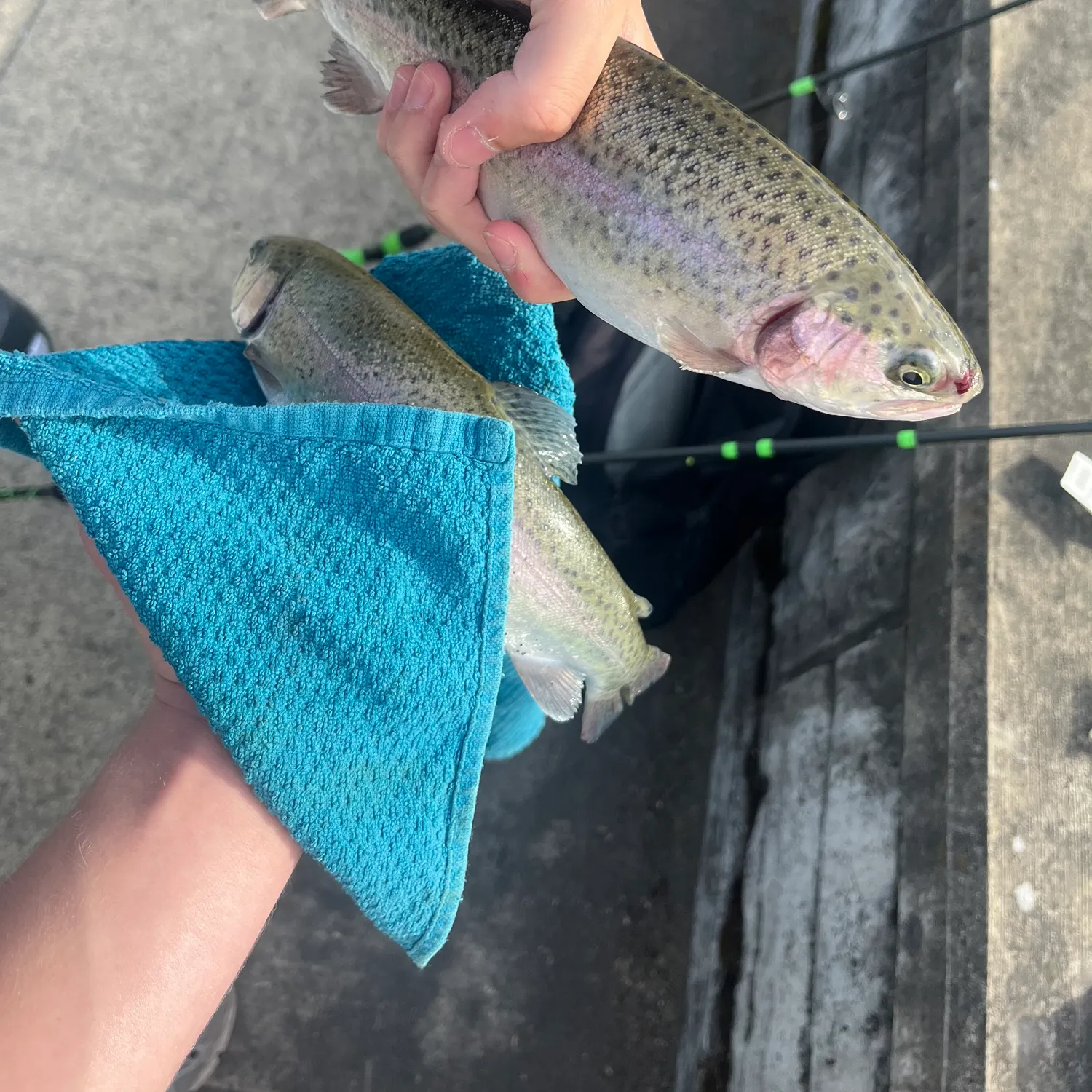 recently logged catches
