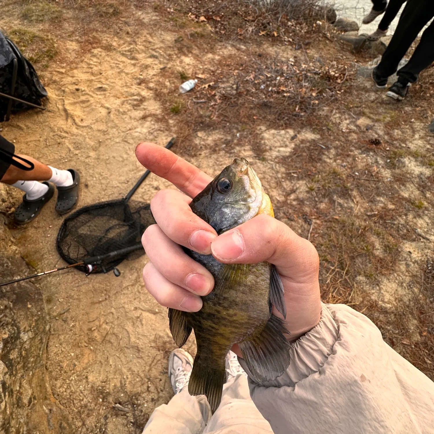 catch