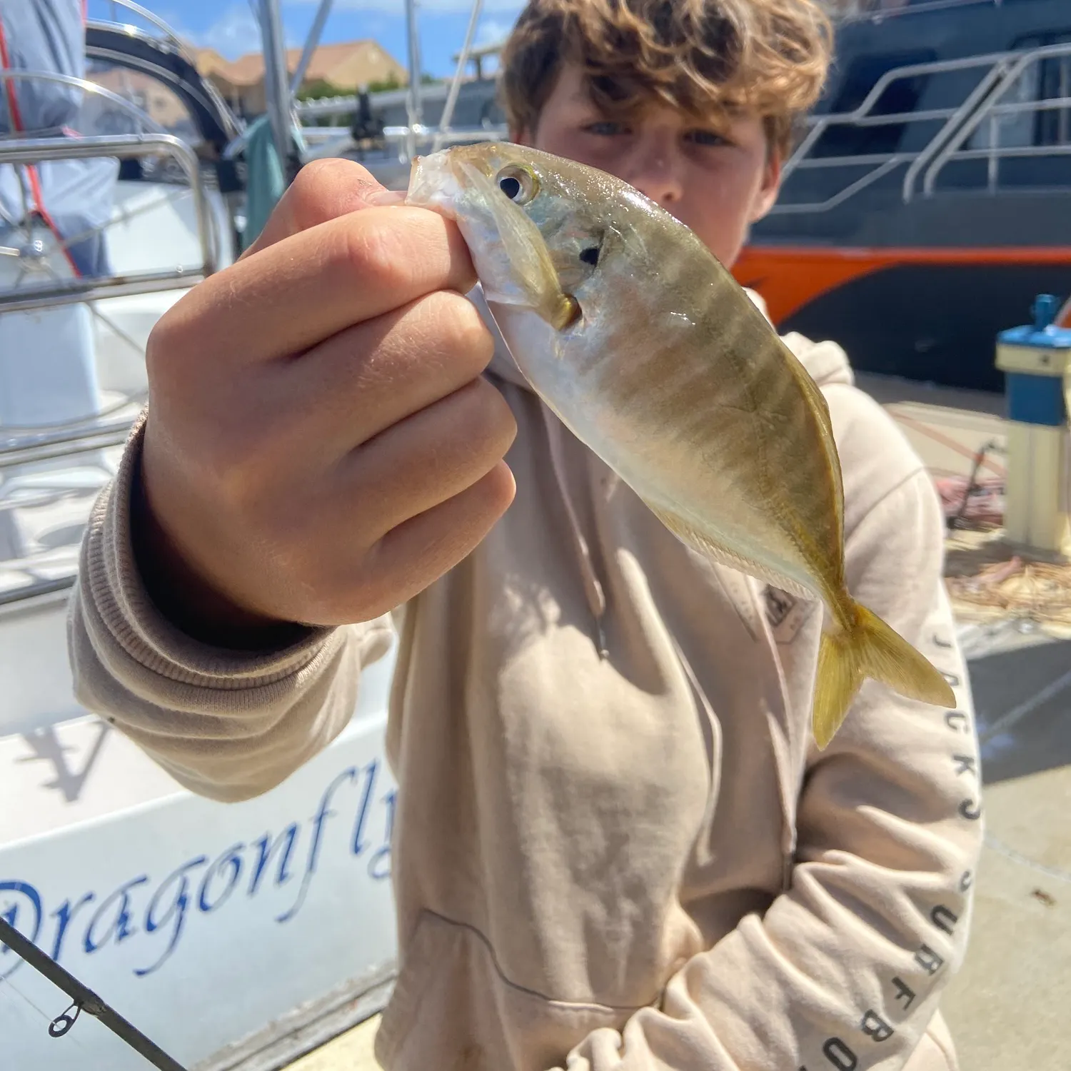 The most recent Golden trevally catches on Fishbrain